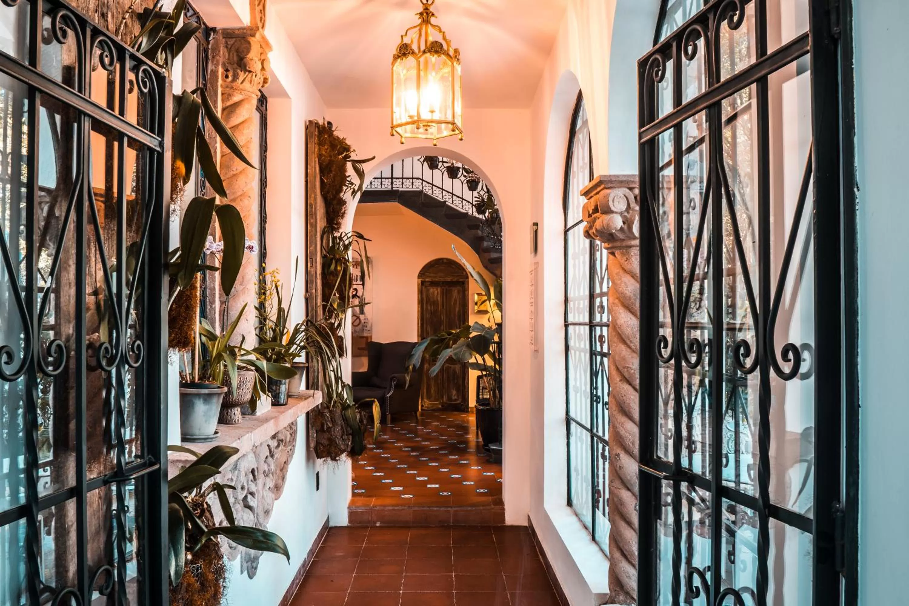 Lobby or reception in Orchid House Mexico City