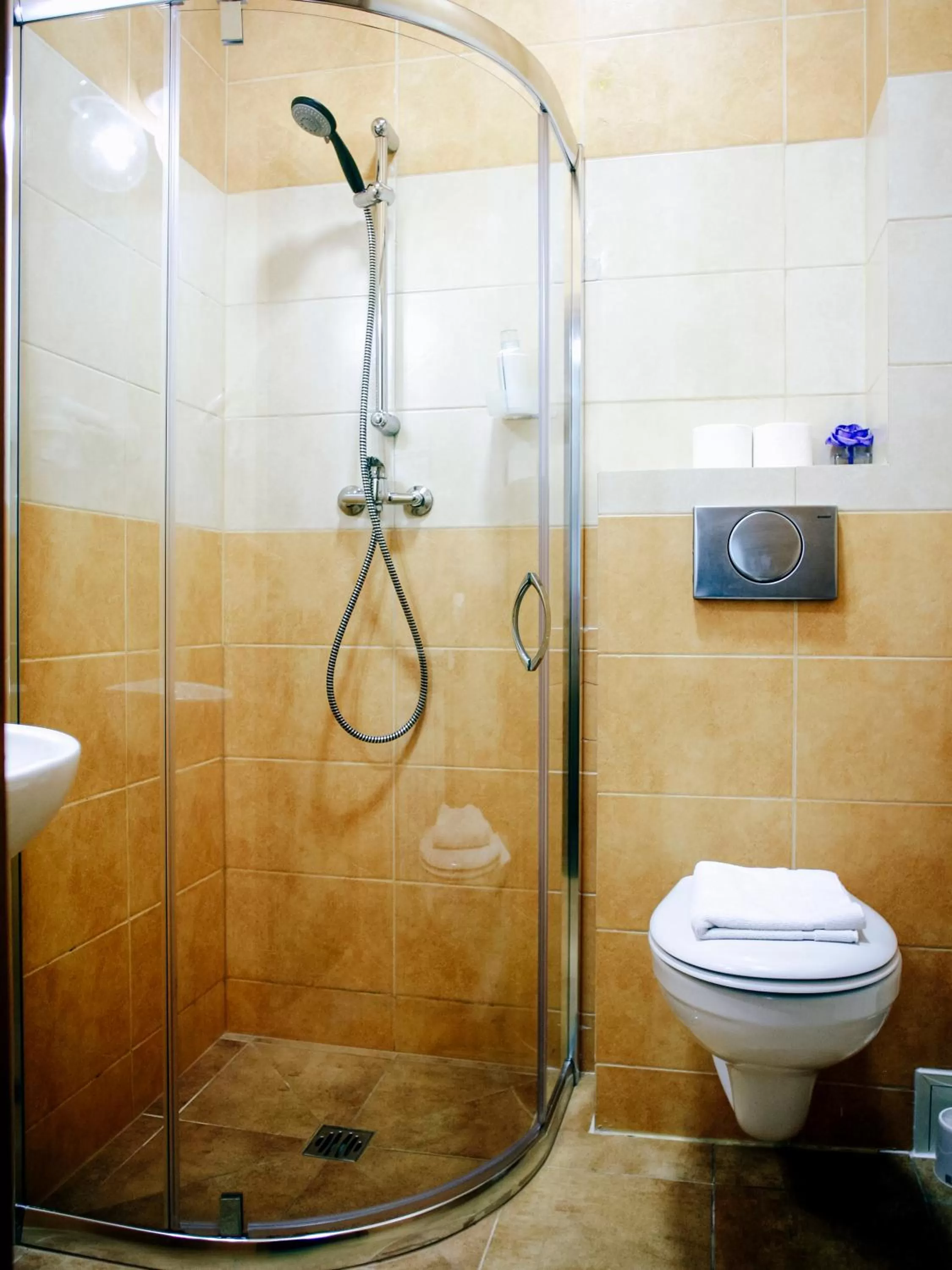 Shower, Bathroom in Miodosytnia Aparthotel