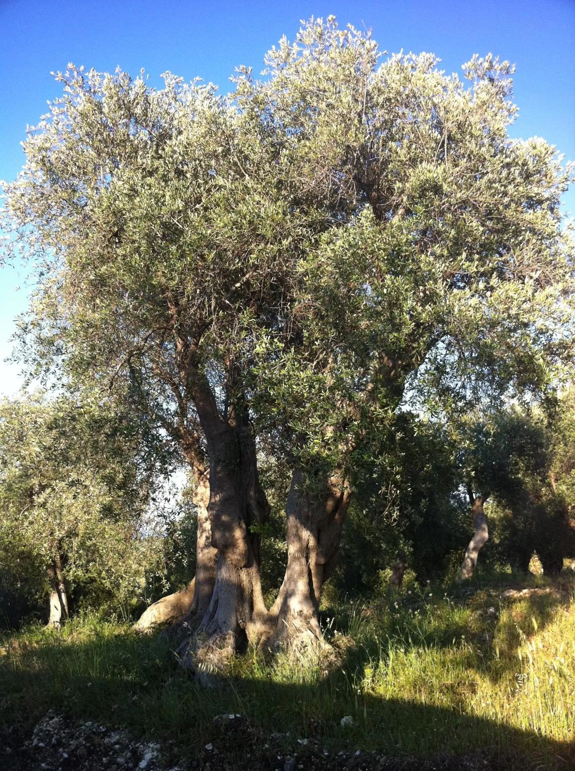 Activities in Rocca Sul Mare Hotel