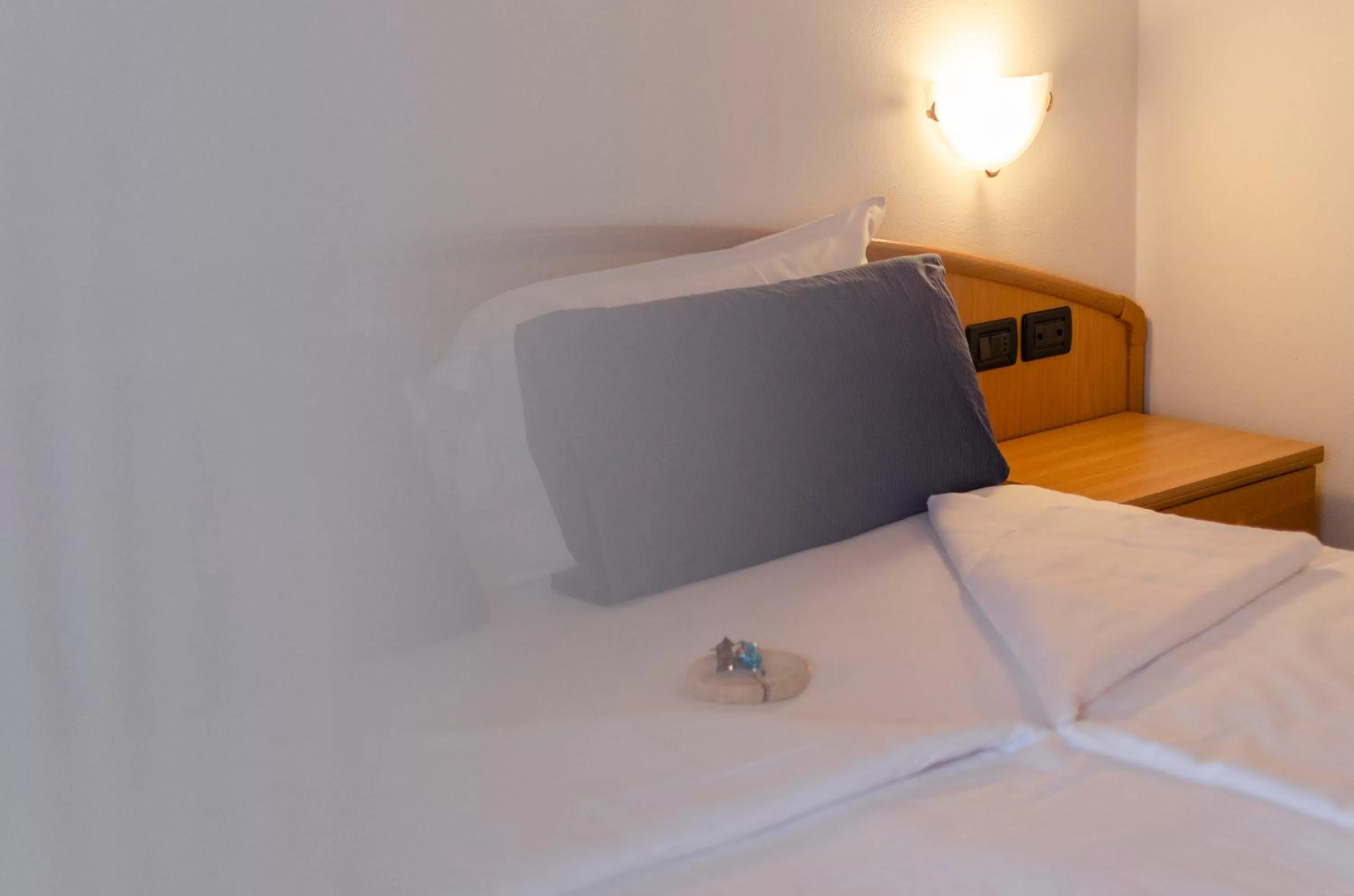 Small Double or Twin Room in Hotel Valsorda