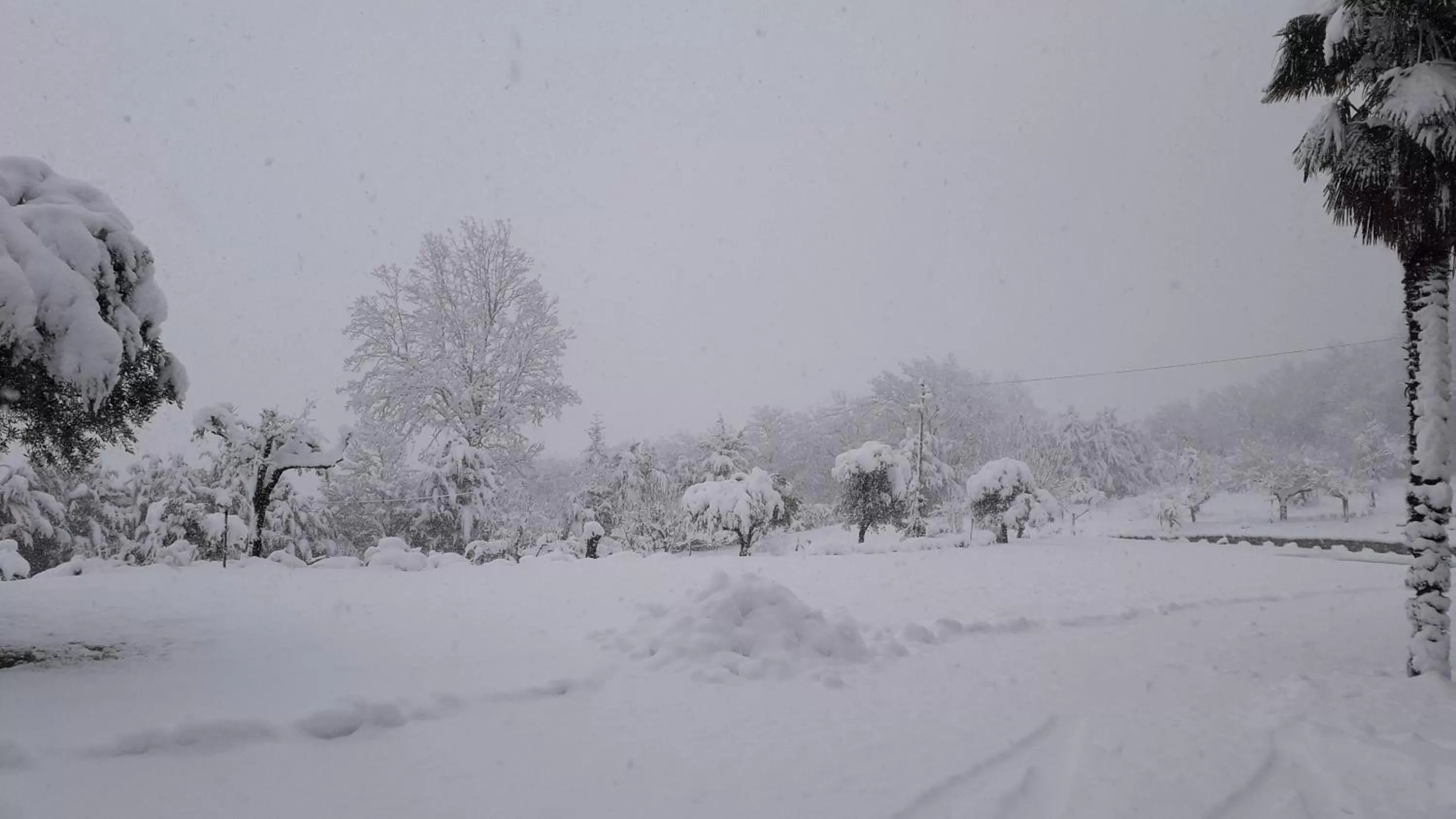 Masseria boutique b&b