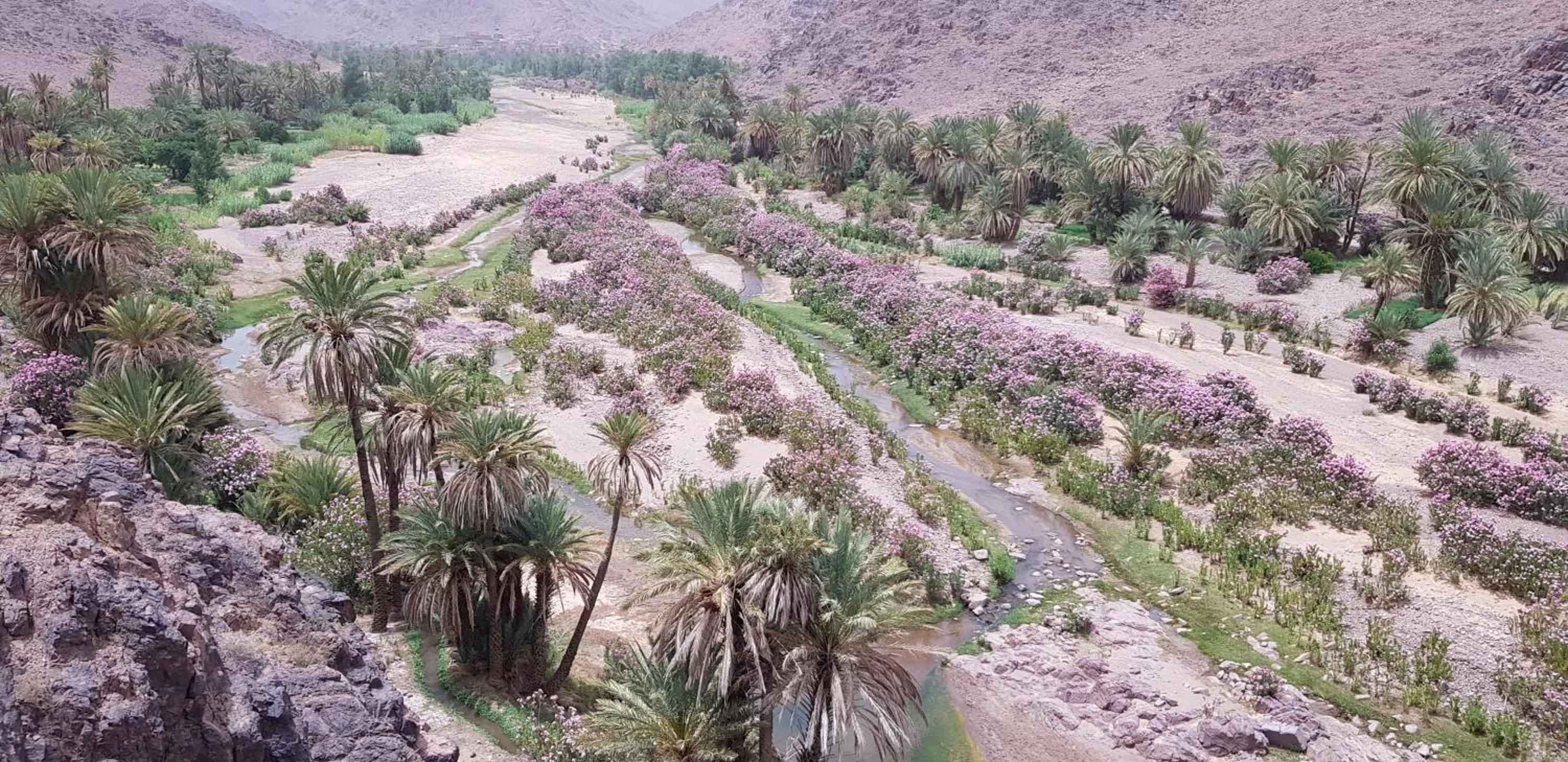 ecolodge bivouac des aigles
