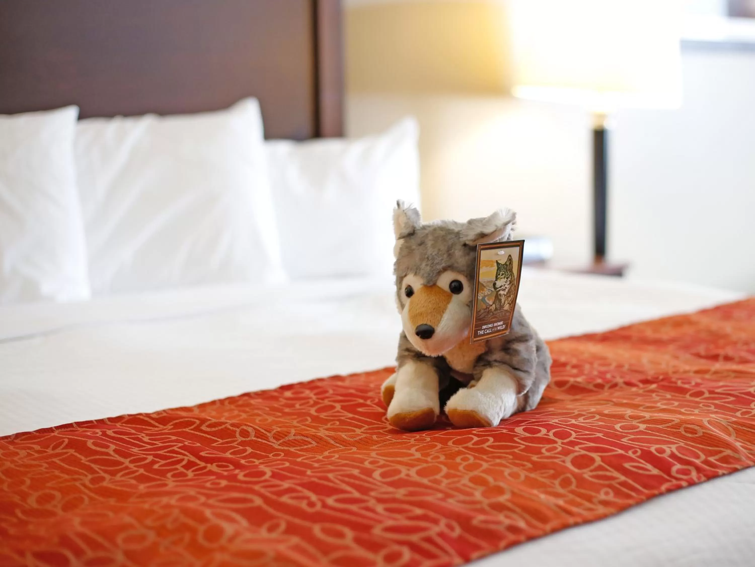 Bed in Gray Wolf Inn & Suites