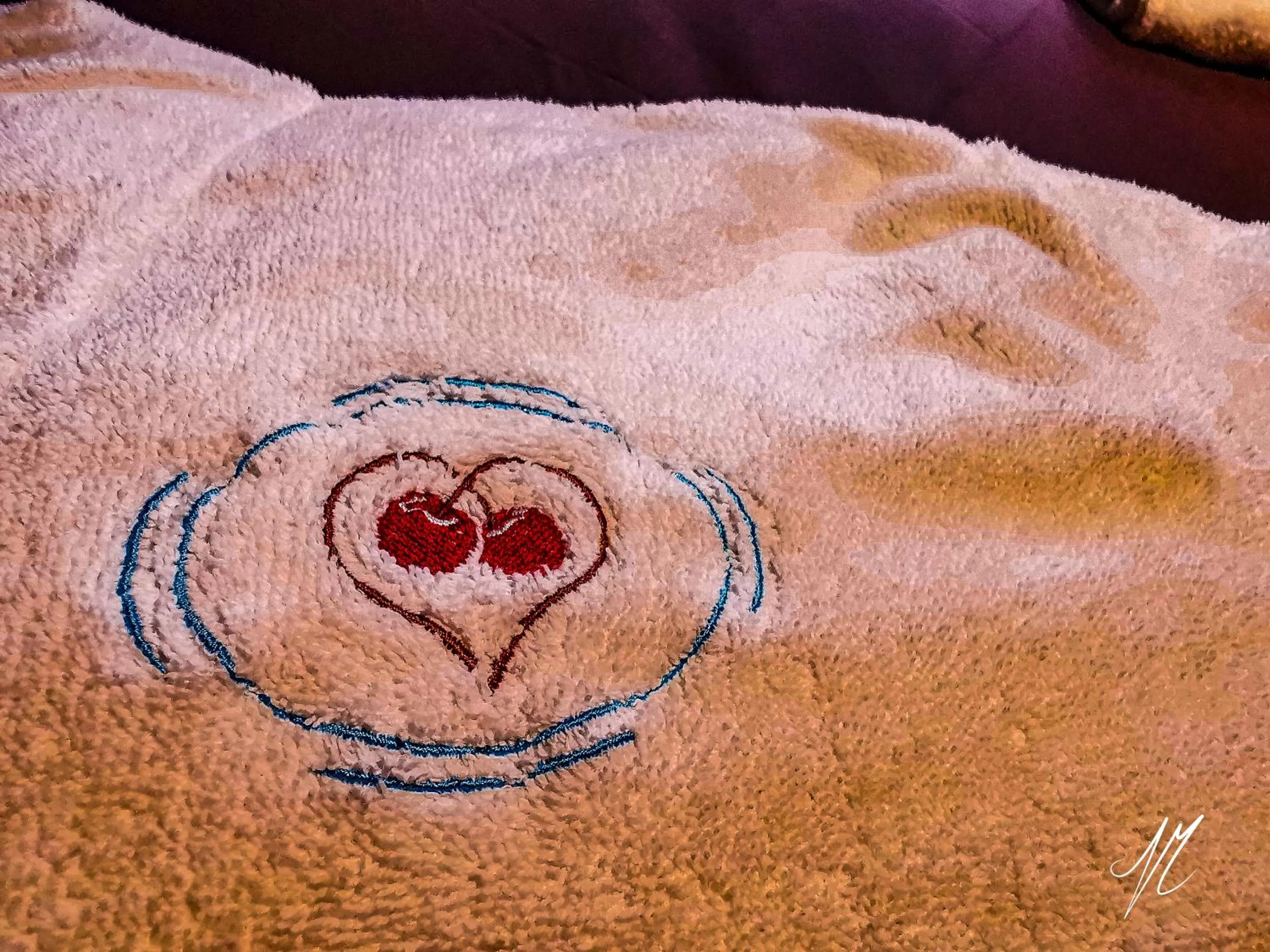 towels in LA GRANGE DES FRANGINES