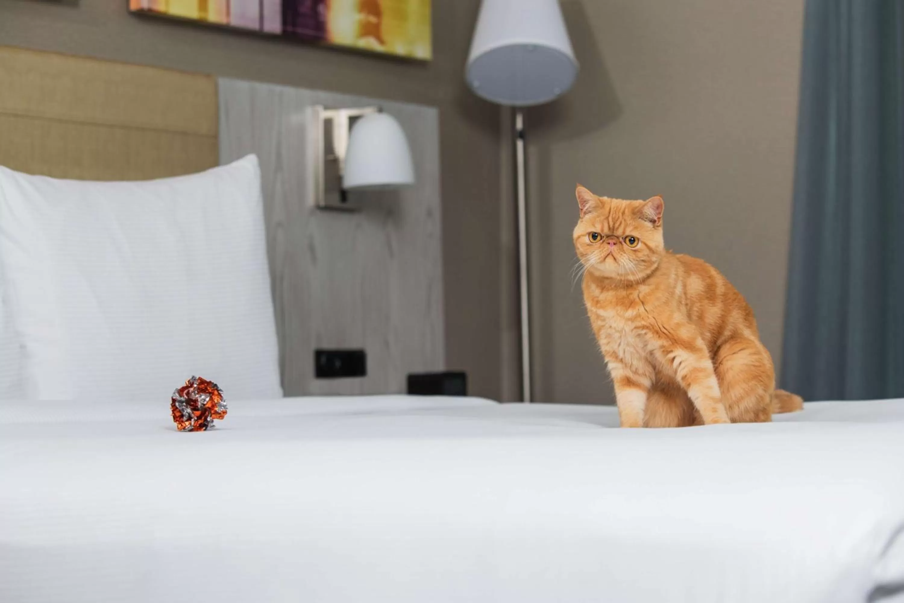 Photo of the whole room, Bed in Doubletree By Hilton New York Times Square West