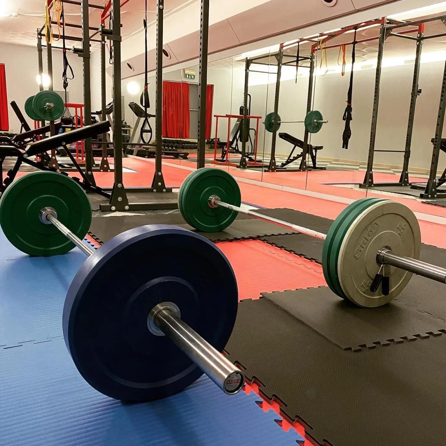 Fitness centre/facilities in Hotel Parco Delle Rose