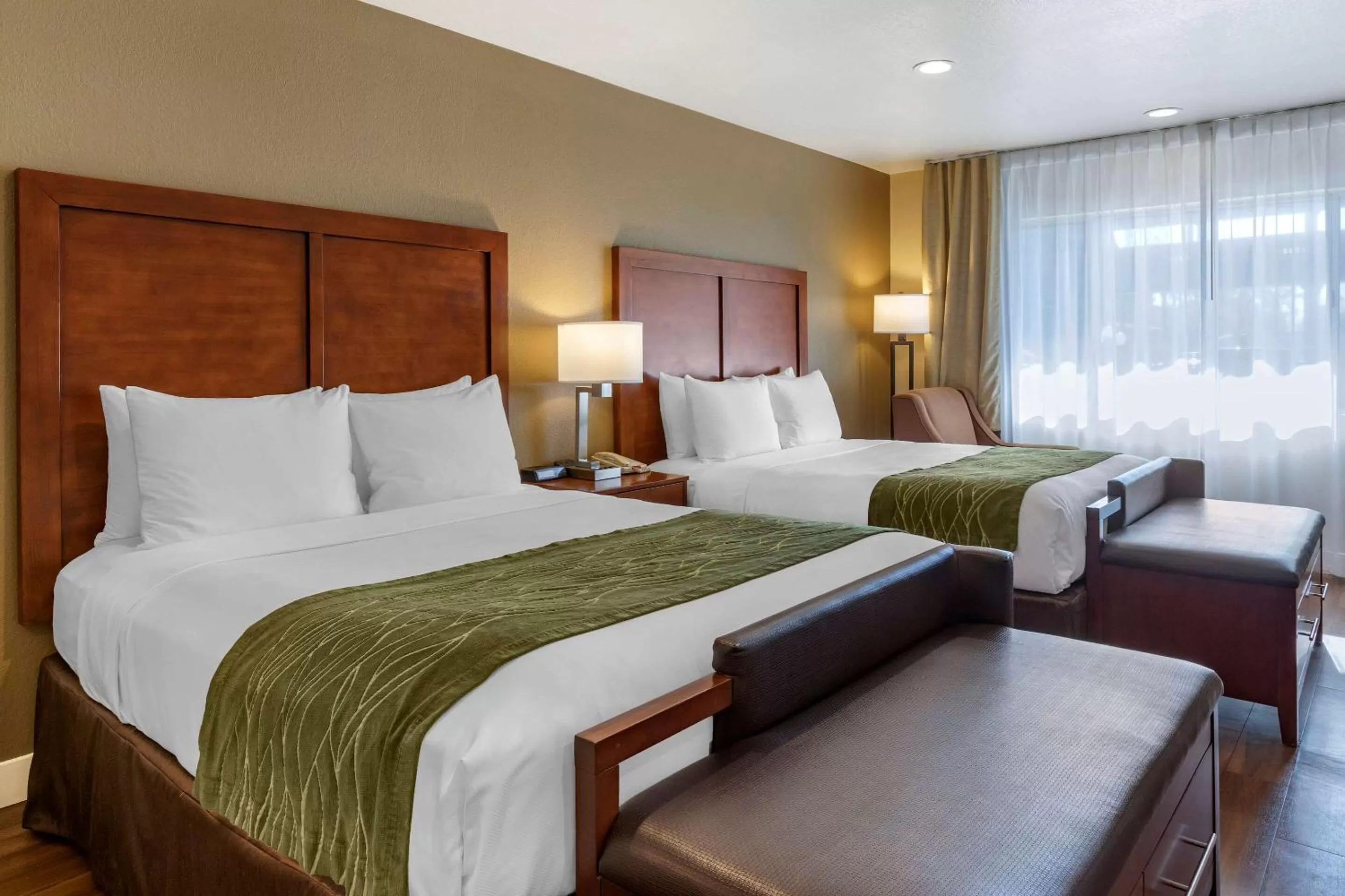 Photo of the whole room, Bed in Comfort Inn Bishop