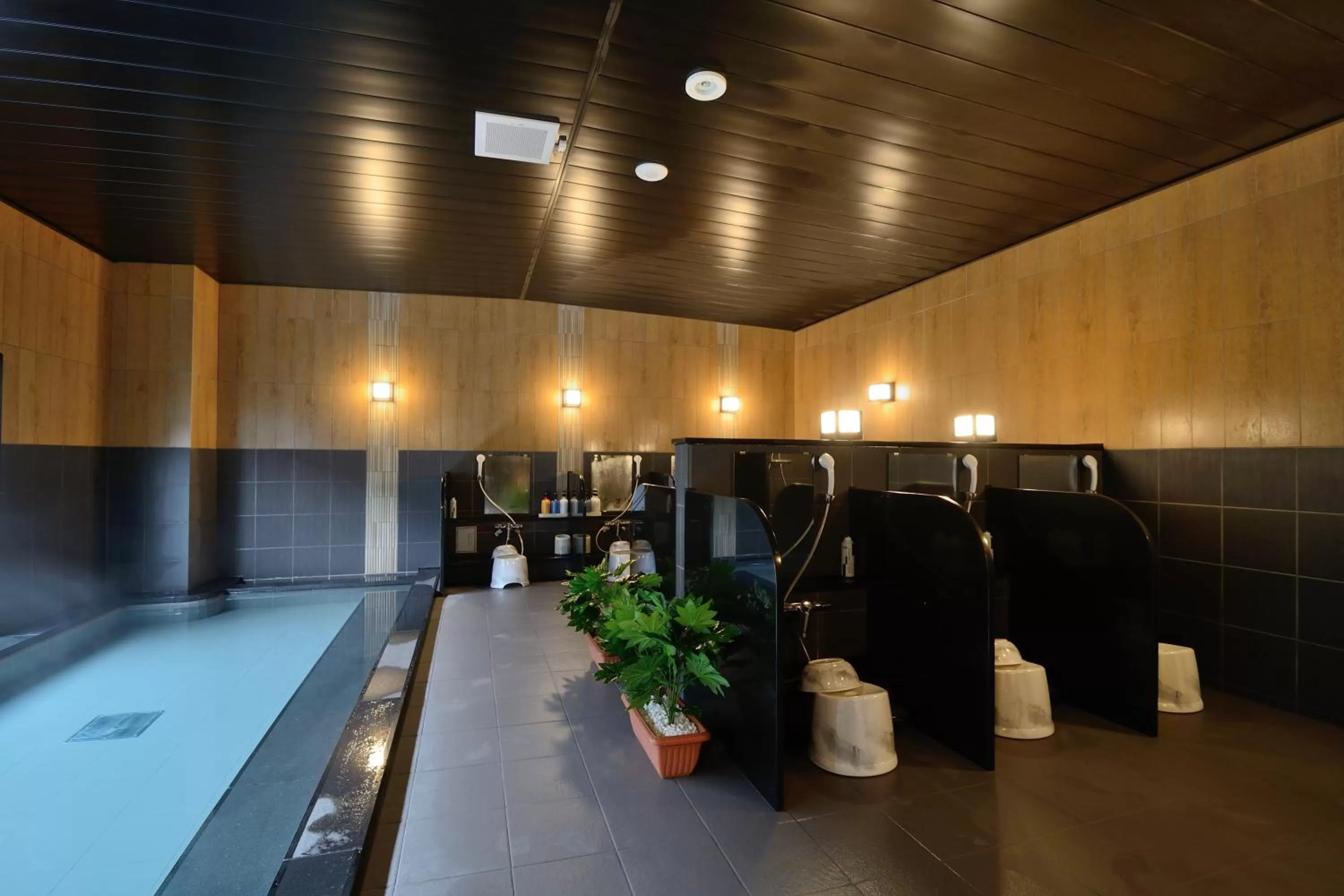 Public Bath in Hotel Route-Inn Yanagawa Ekimae