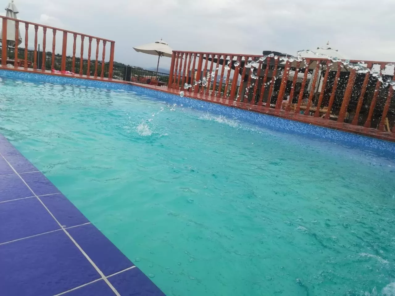 Swimming Pool in Hotel Boutique Martin's