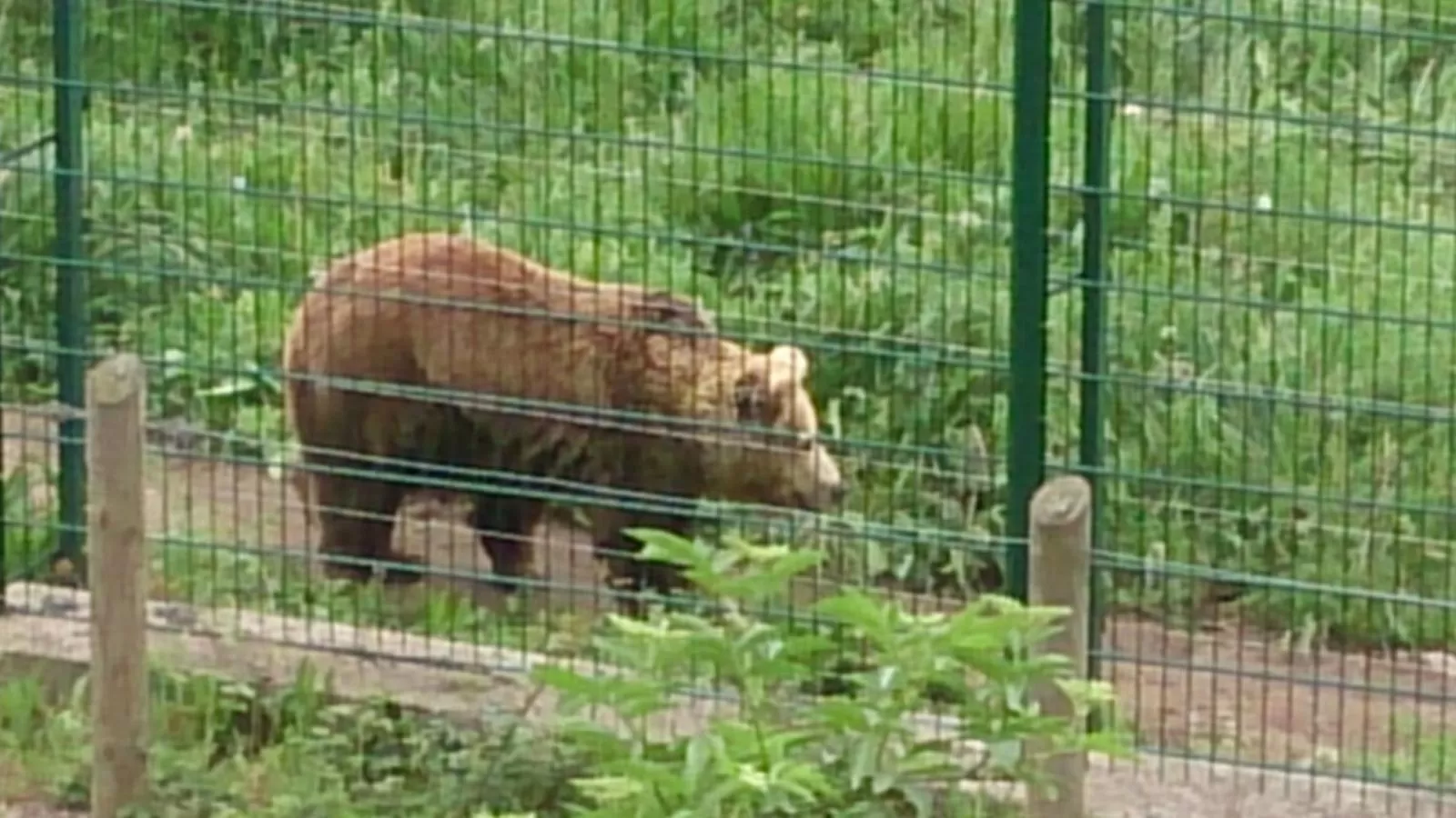 Activities in La Casona de Don Santos