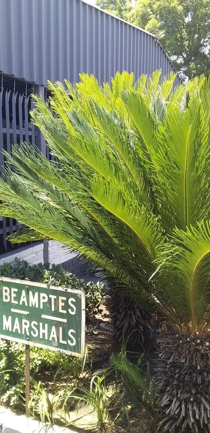 Breakfast in B&B 464 on 22nd Ave