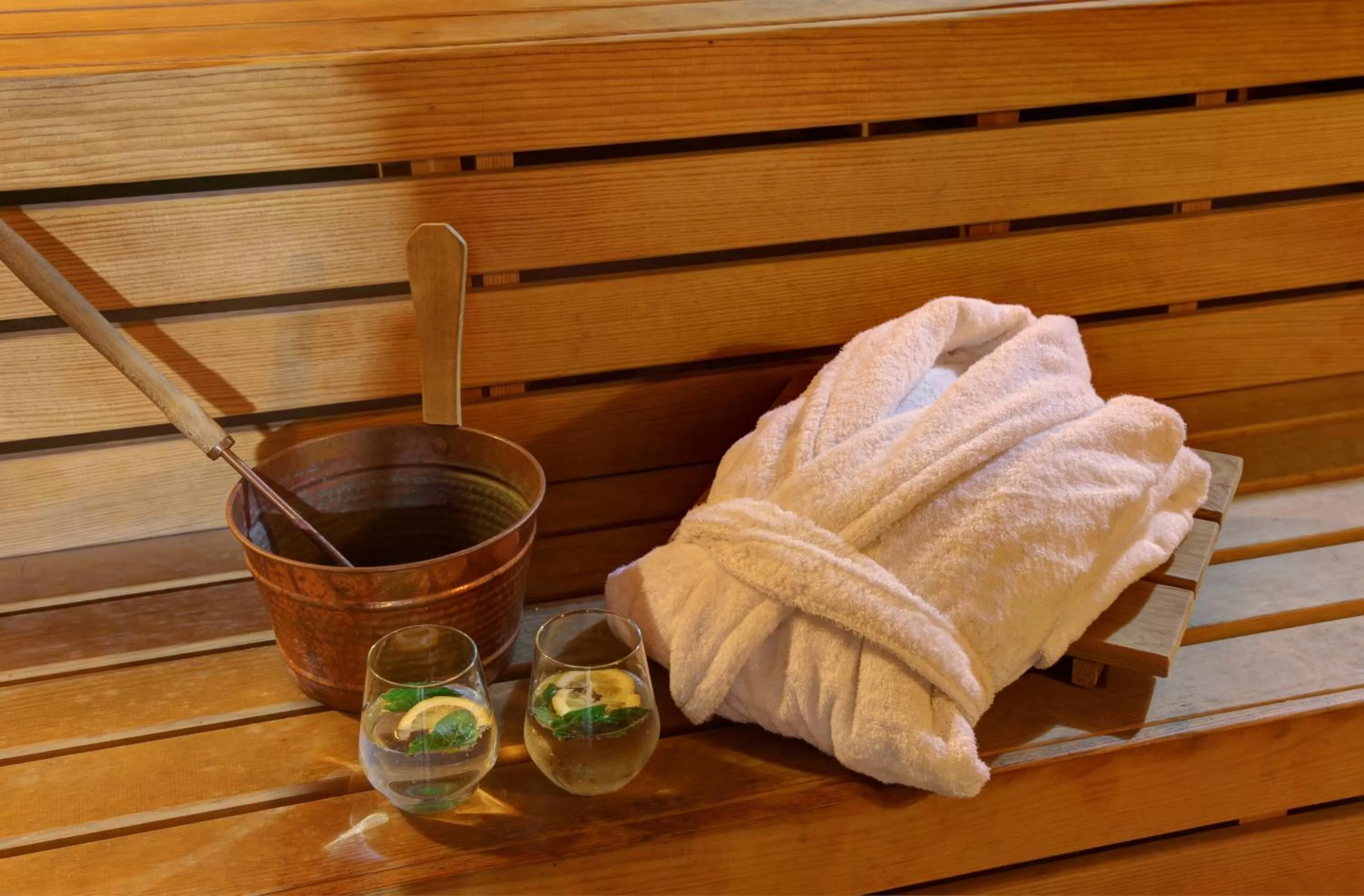 Sauna in Skalion Hotel