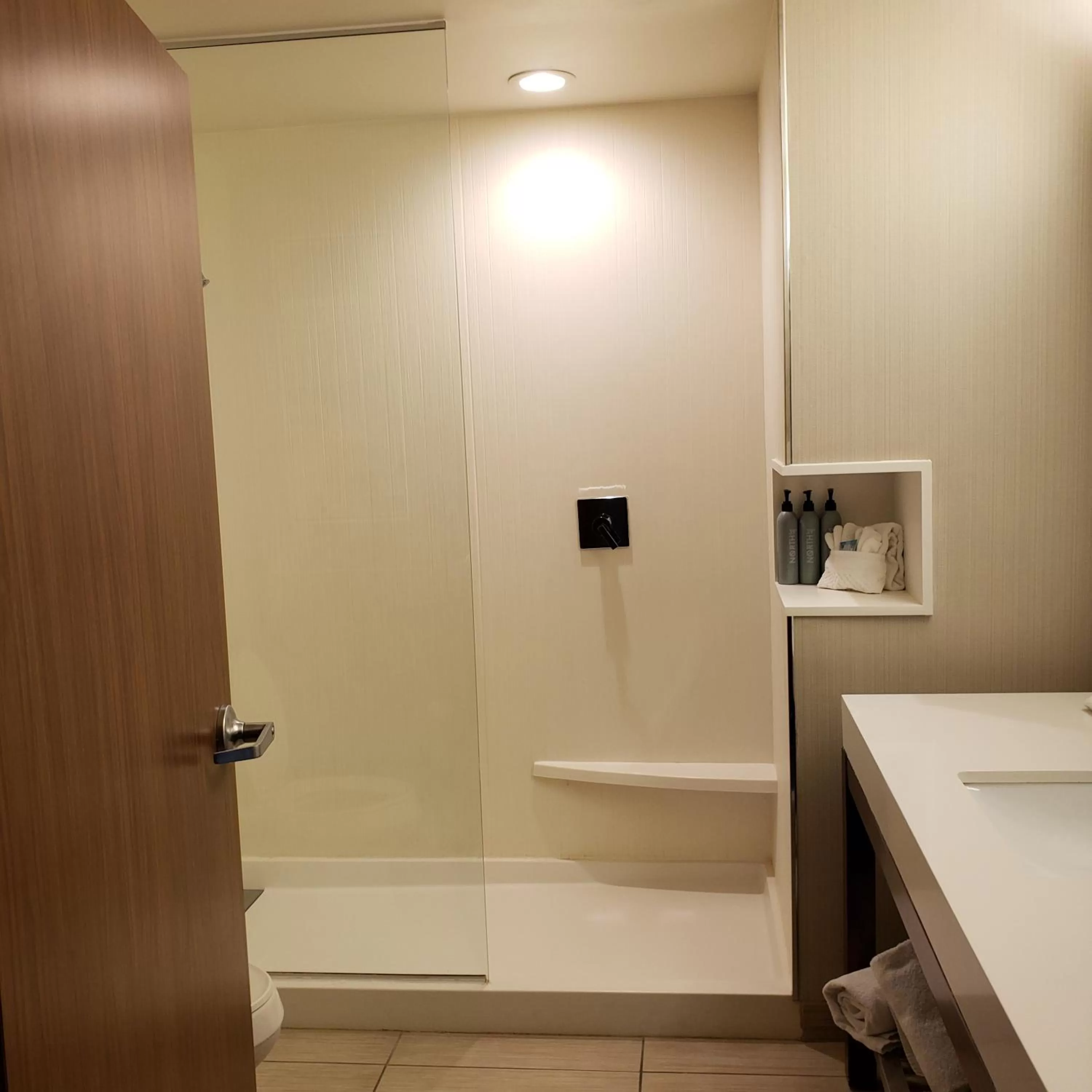 Bathroom in Courtyard by Marriott Battle Creek