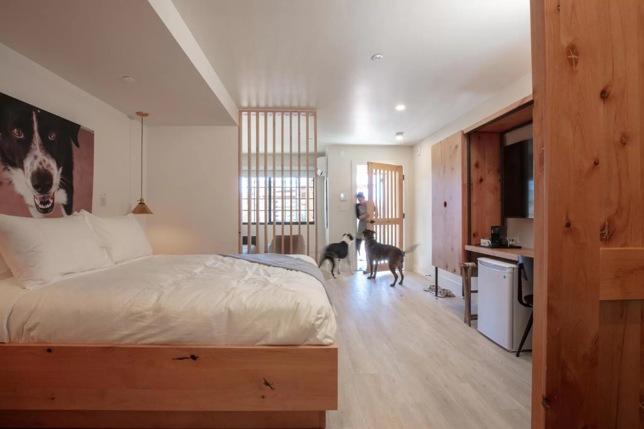 Bed in Best Friends Roadhouse and Mercantile