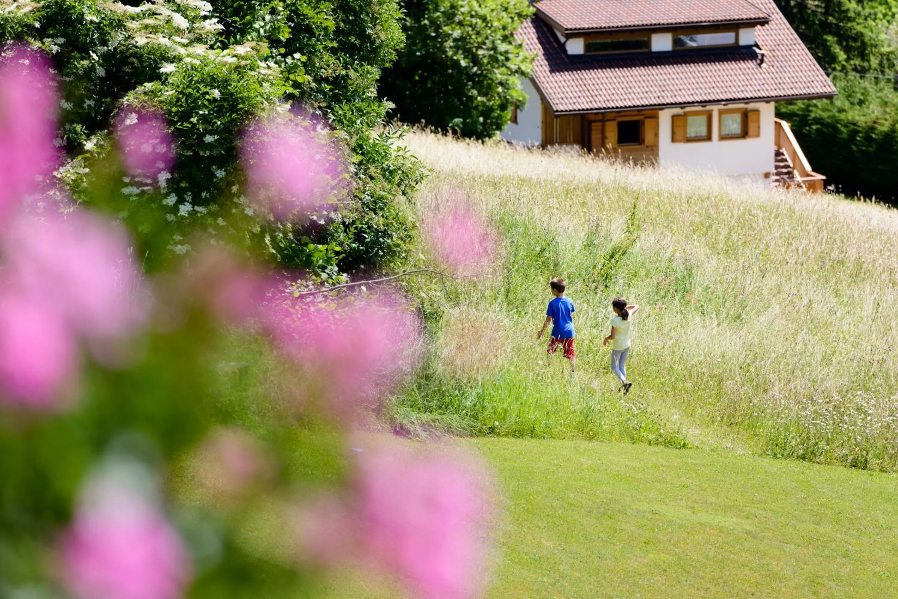 View (from property/room) in FORESTO holiday apartments