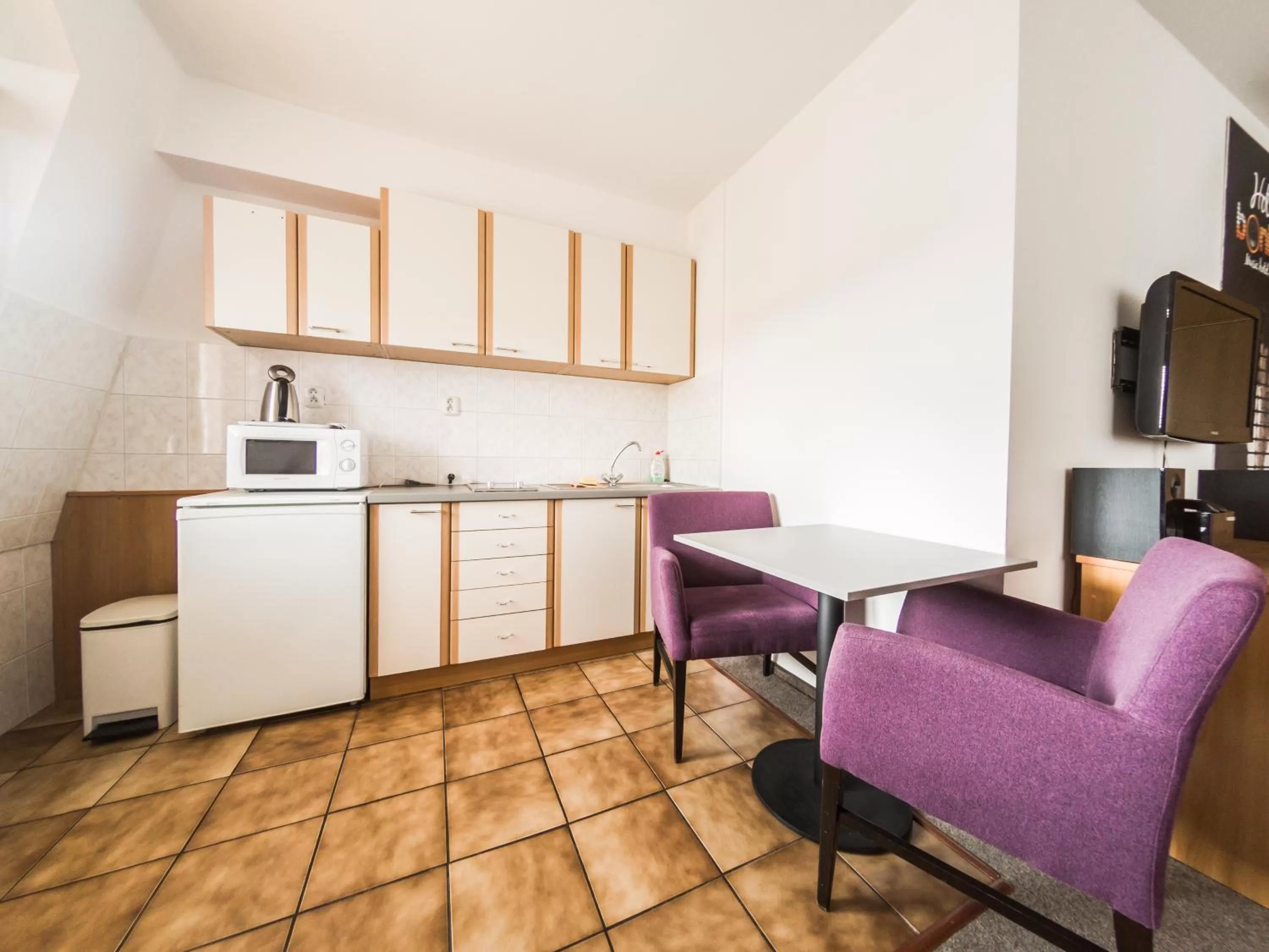 Kitchen or kitchenette in Penzion Atlas