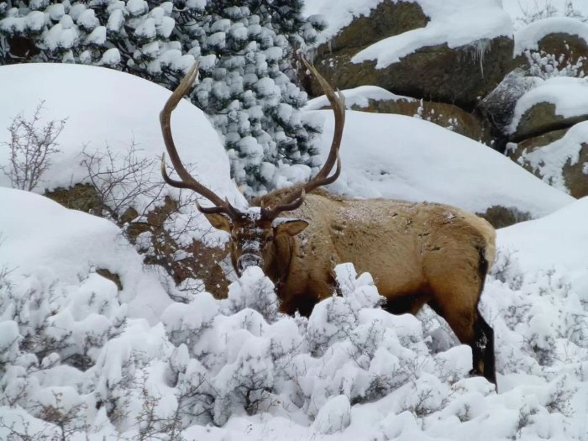 Day in 4 Seasons Inn on Fall River