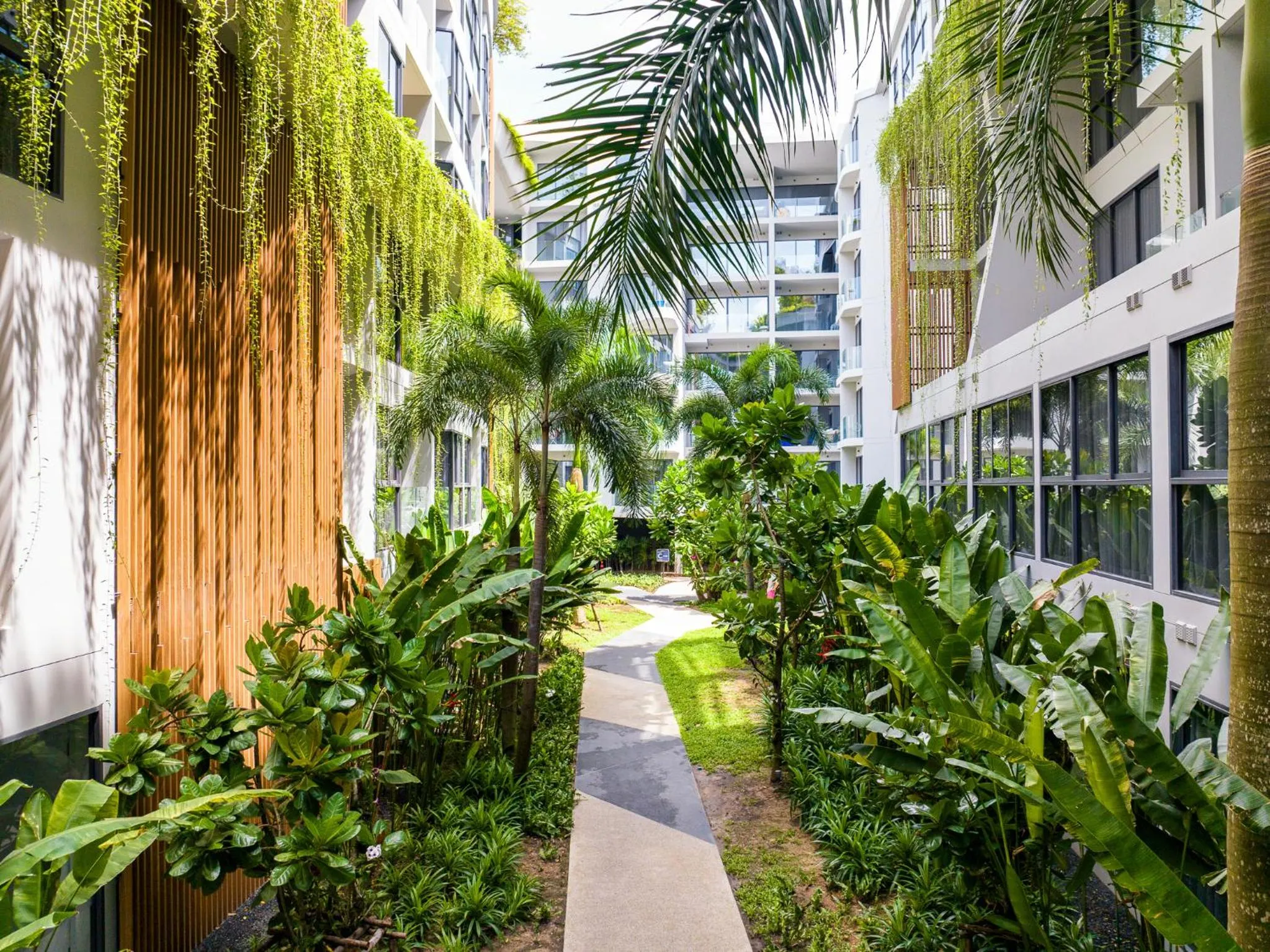 Garden in HOMA Phuket Town