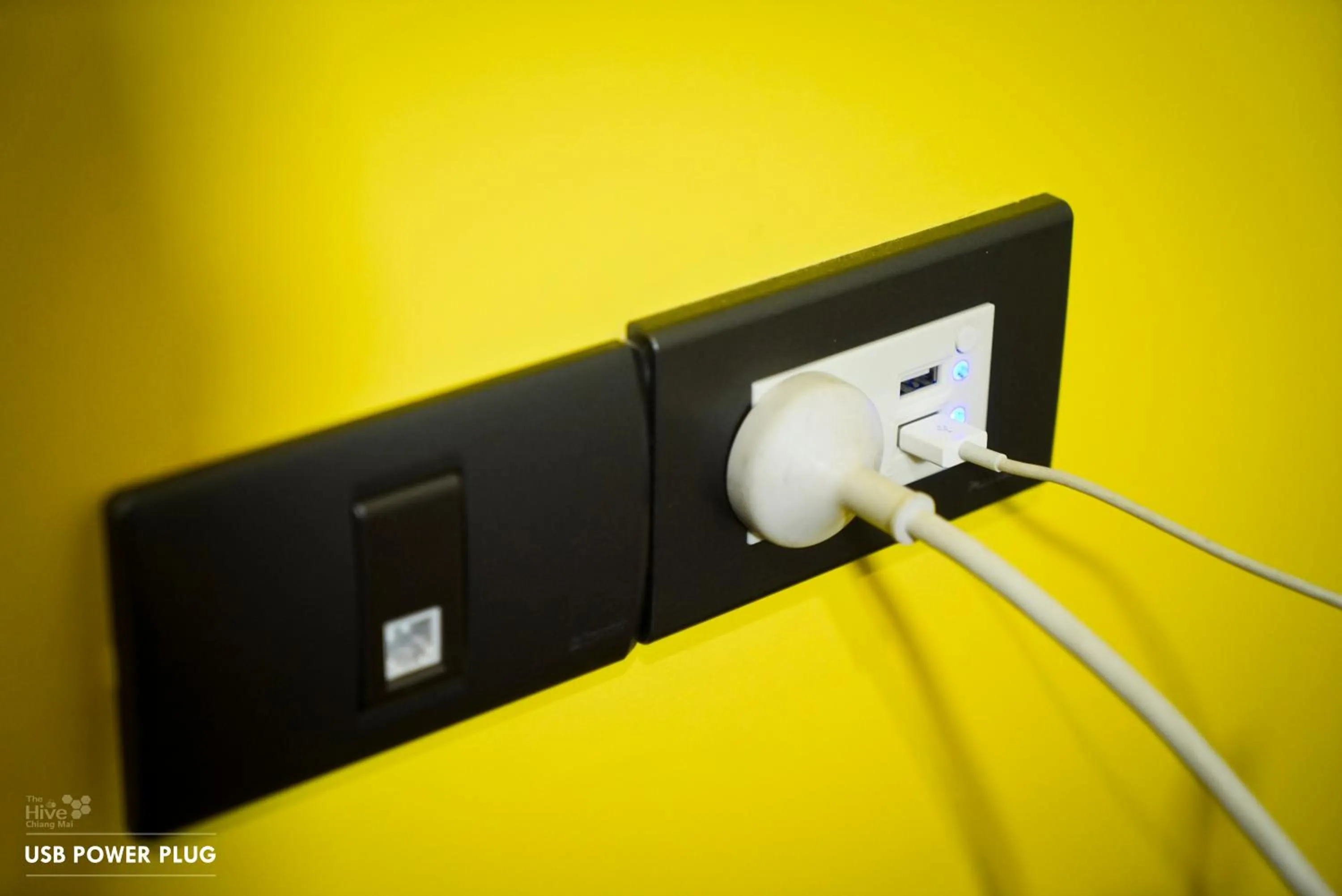 The Hive Chiang Mai Hotel