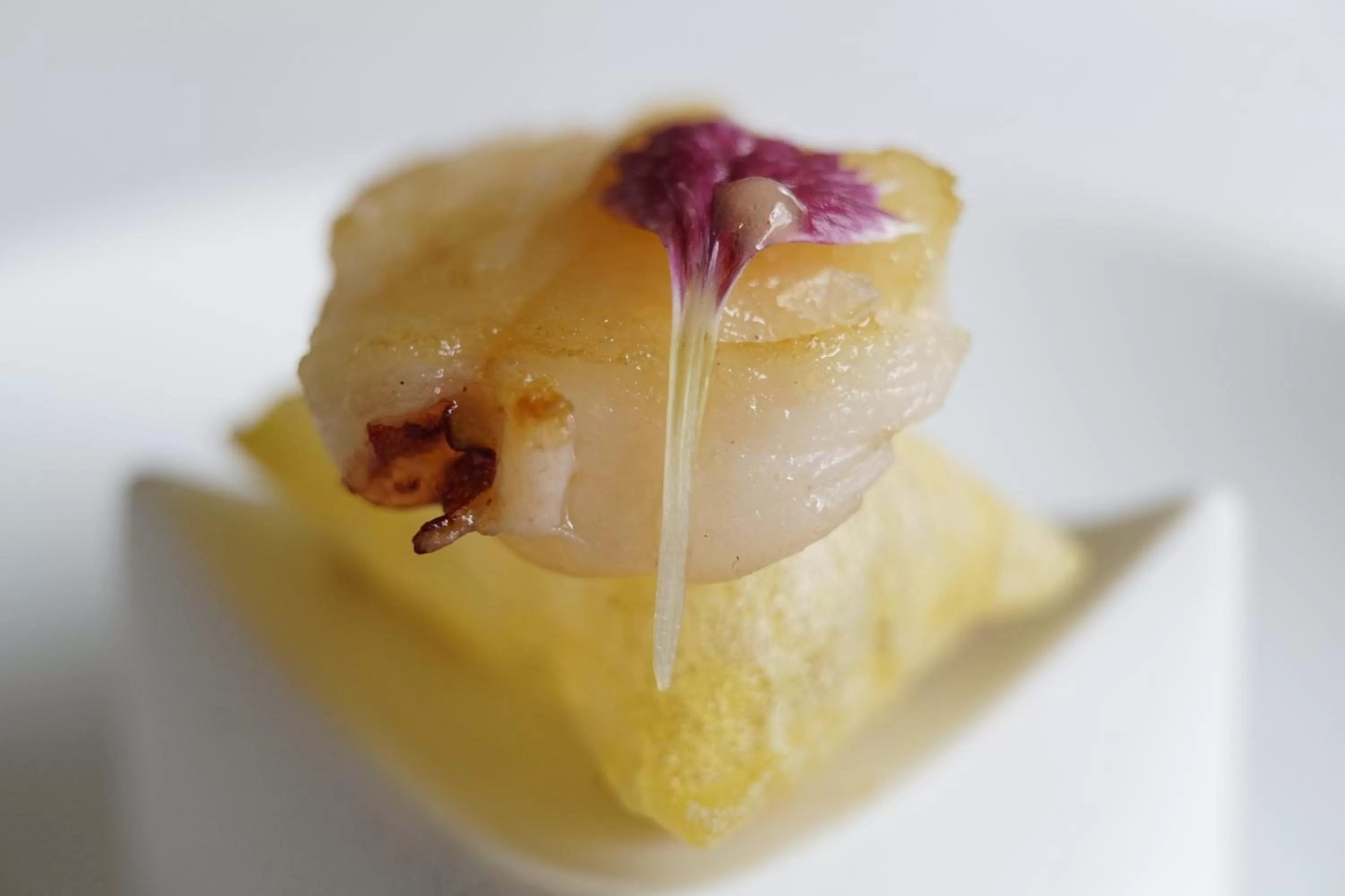 Hotel Villa Rosario II, Edificio Moderno