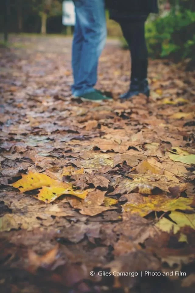 Other in Bina's Haus Pousada, Cafeteria e Atelier