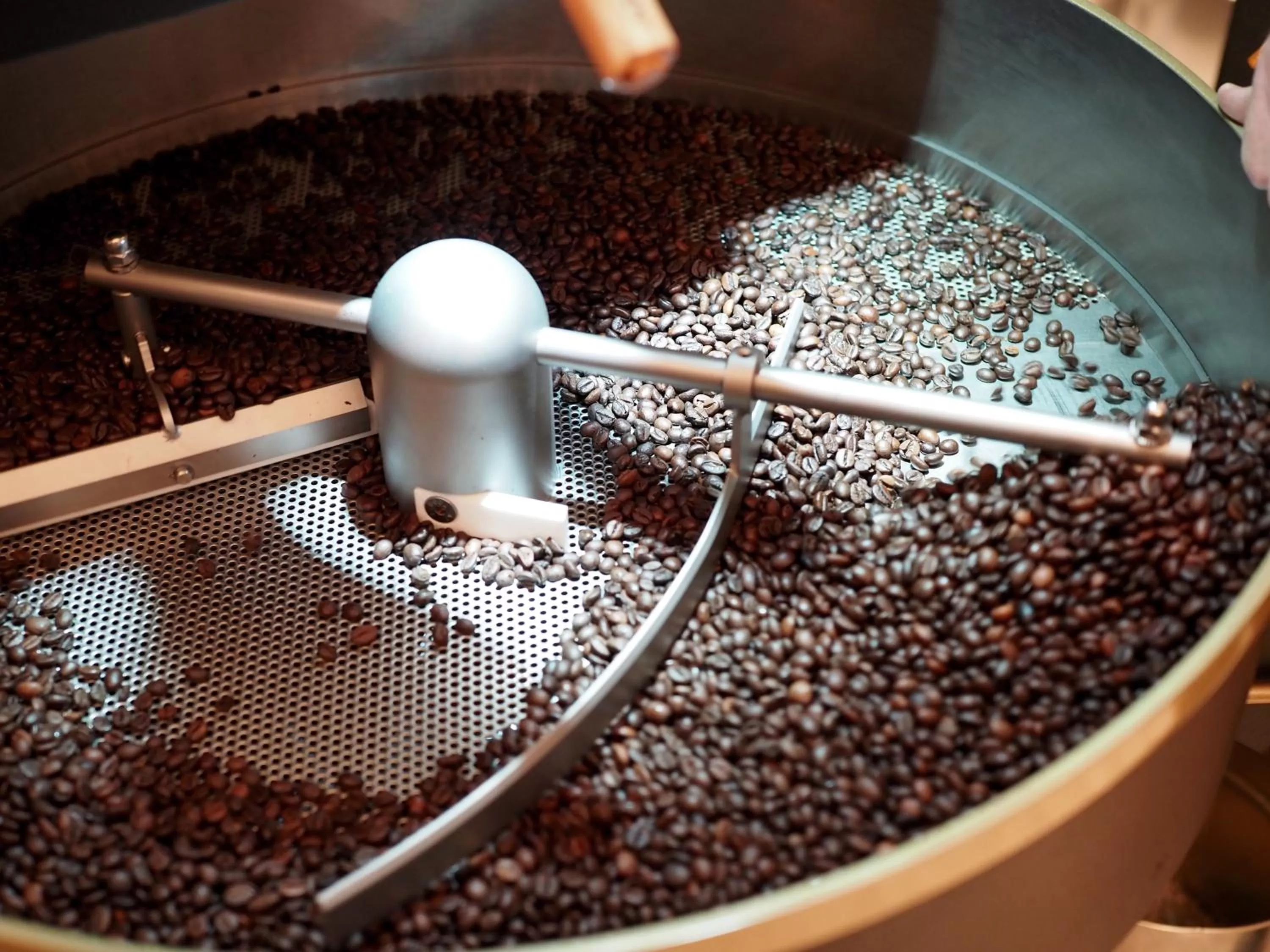 Area and facilities in Platzhirsch Kufstein