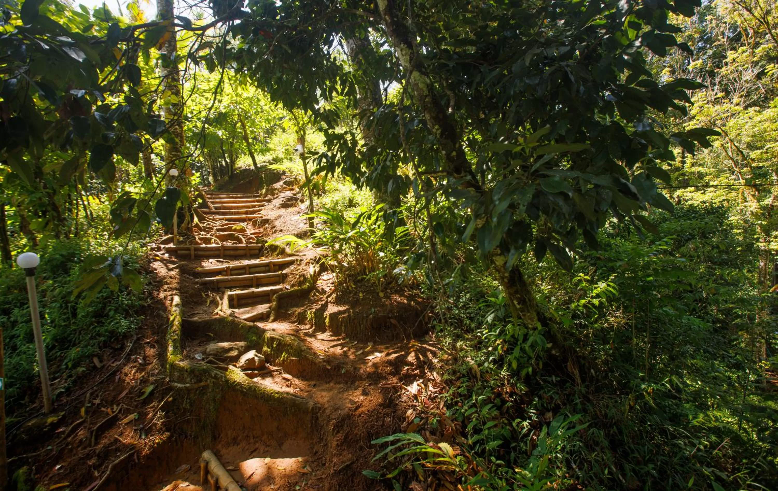 Property building in Ela Ecoland Nature Retreat