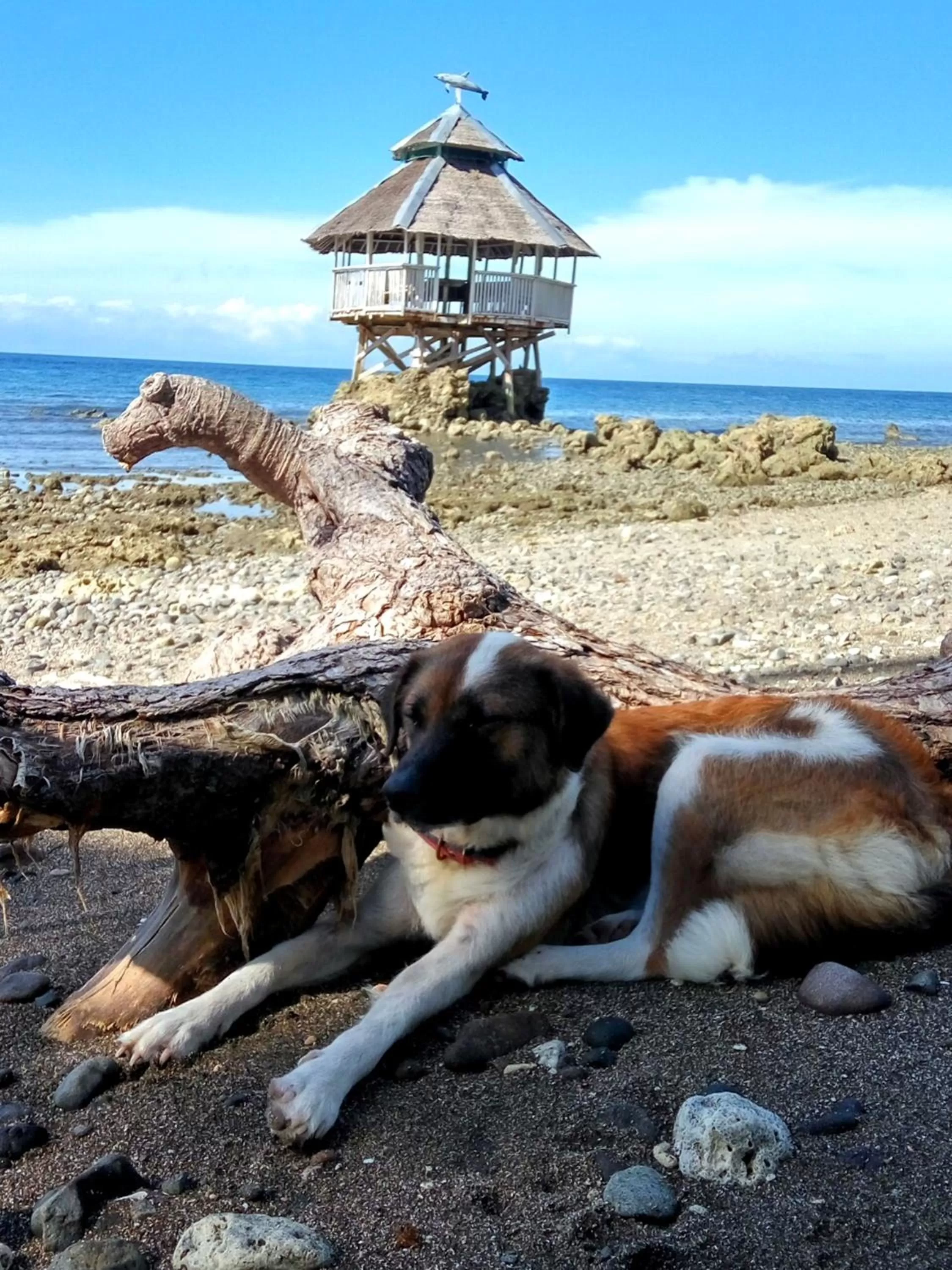 Beach in Paseo Del Mar Seaside Inn