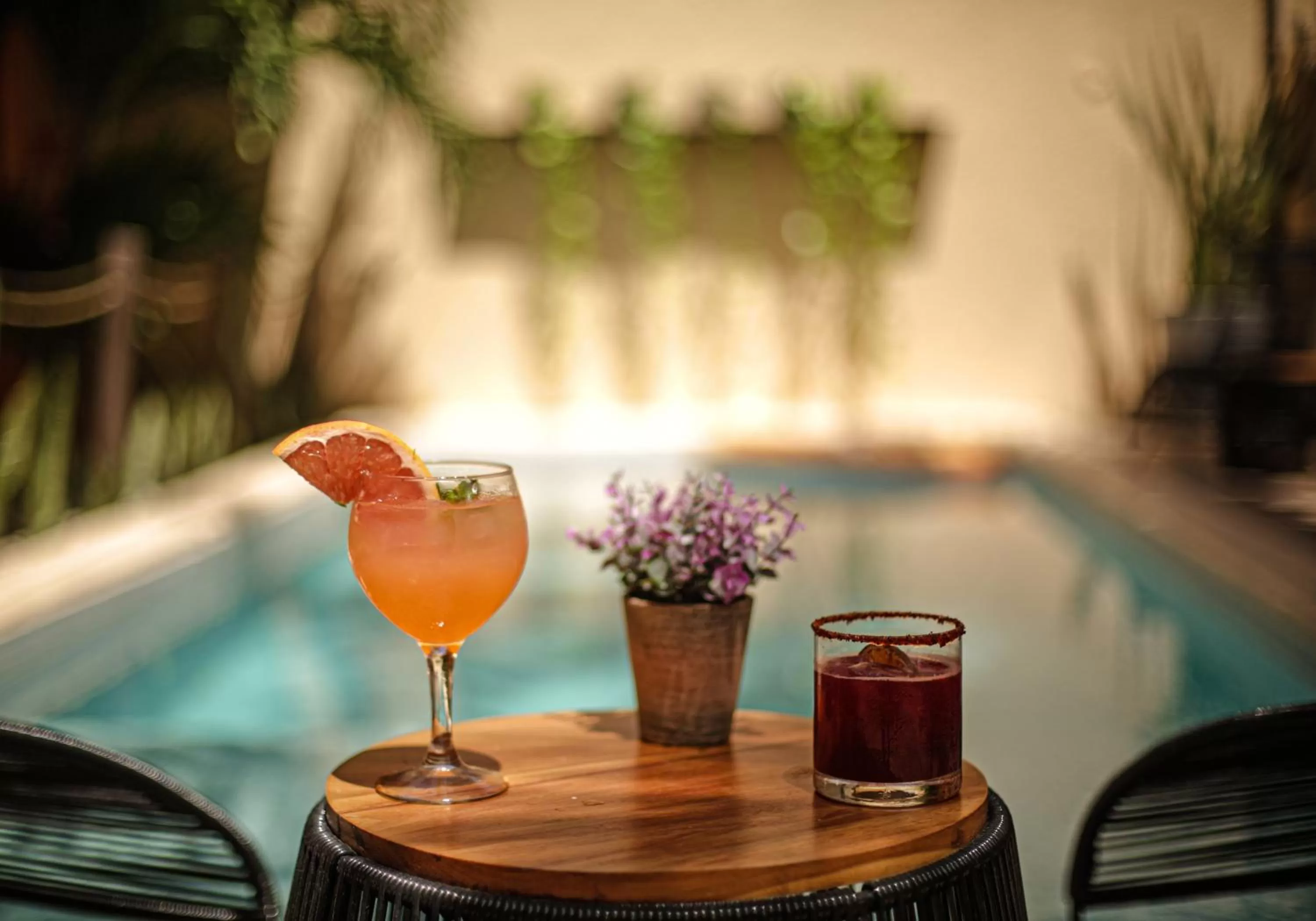 Drinks in Hotel Sur Bacalar