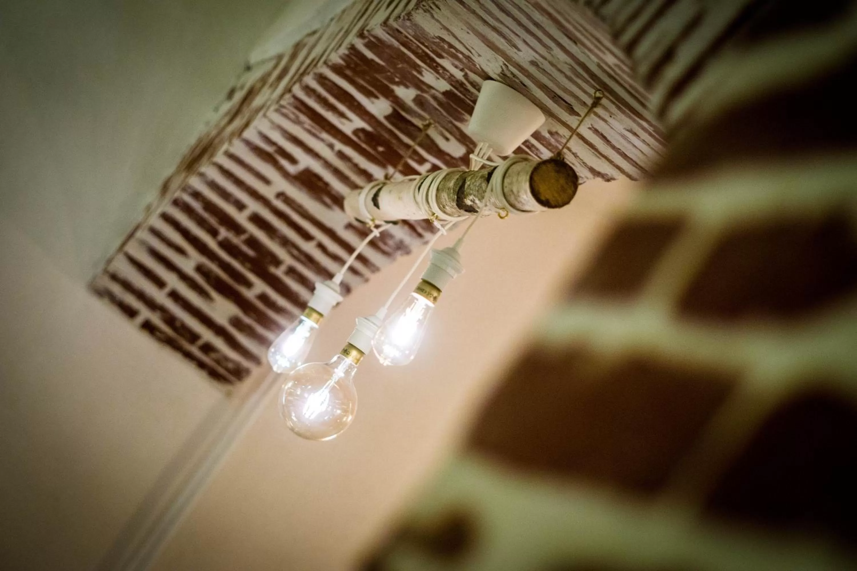 Restaurant/places to eat in Nest