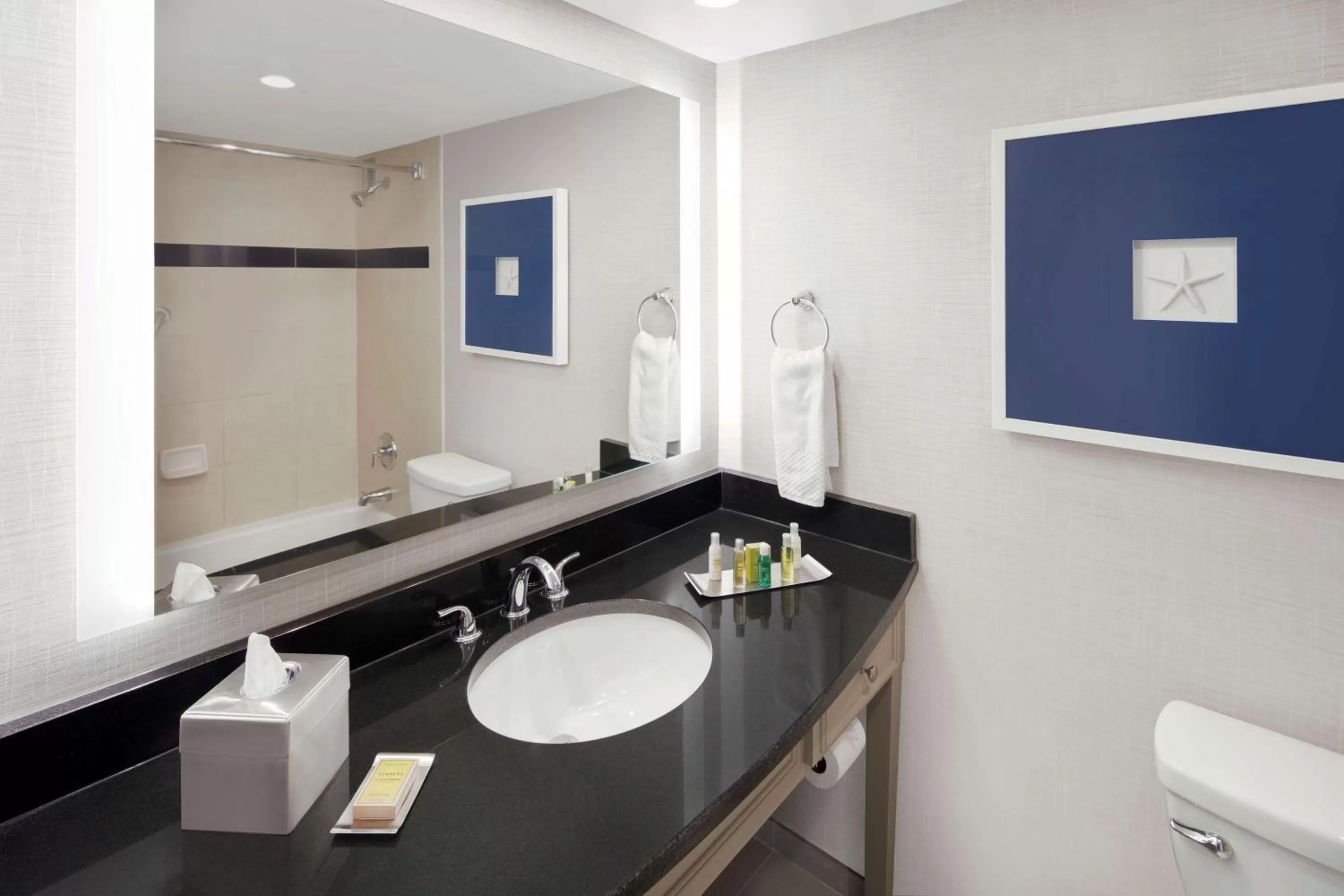 Bathroom in DoubleTree by Hilton Hotel Deerfield Beach Boca Raton