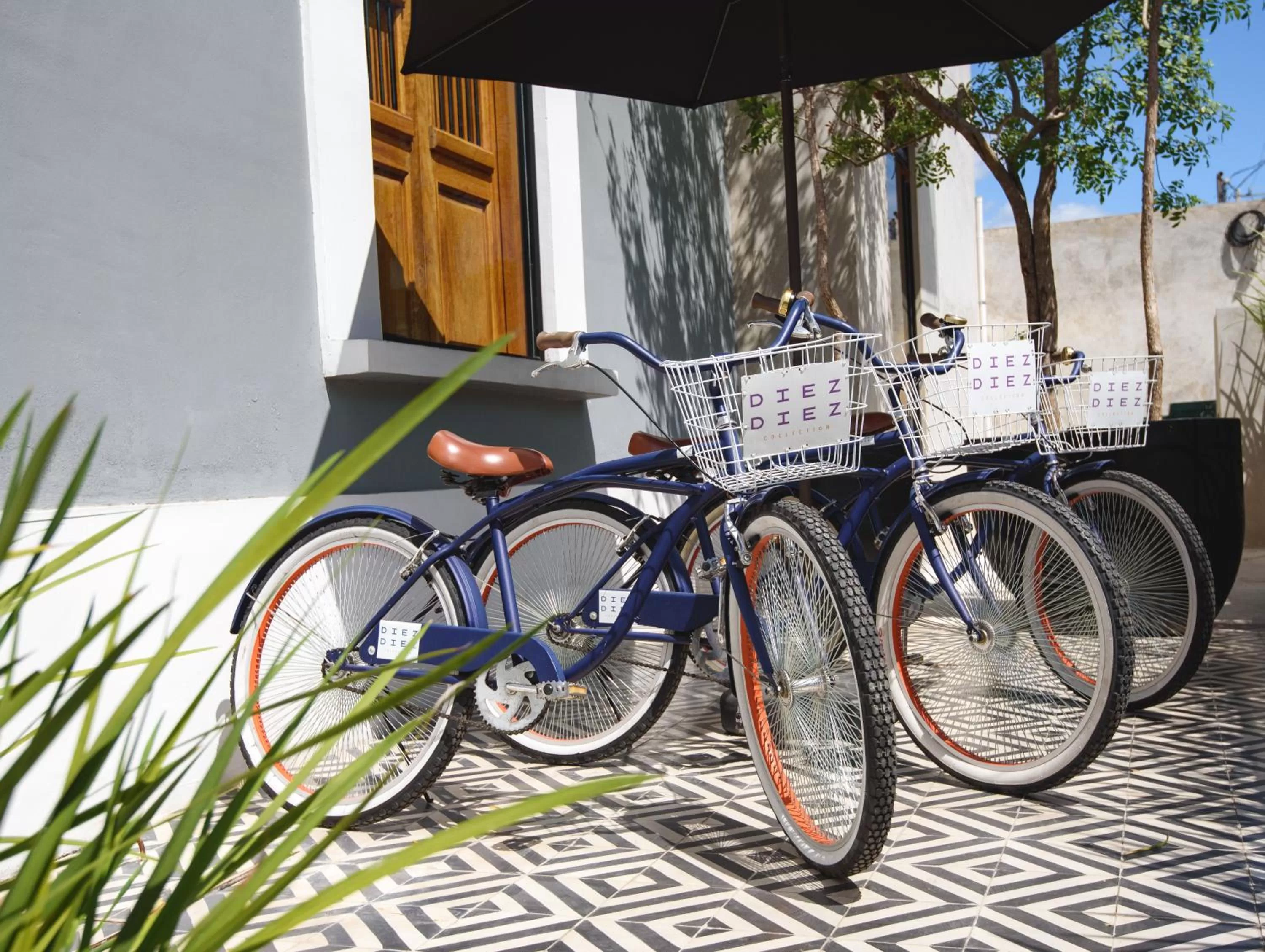 Activities in Diez Diez Collection