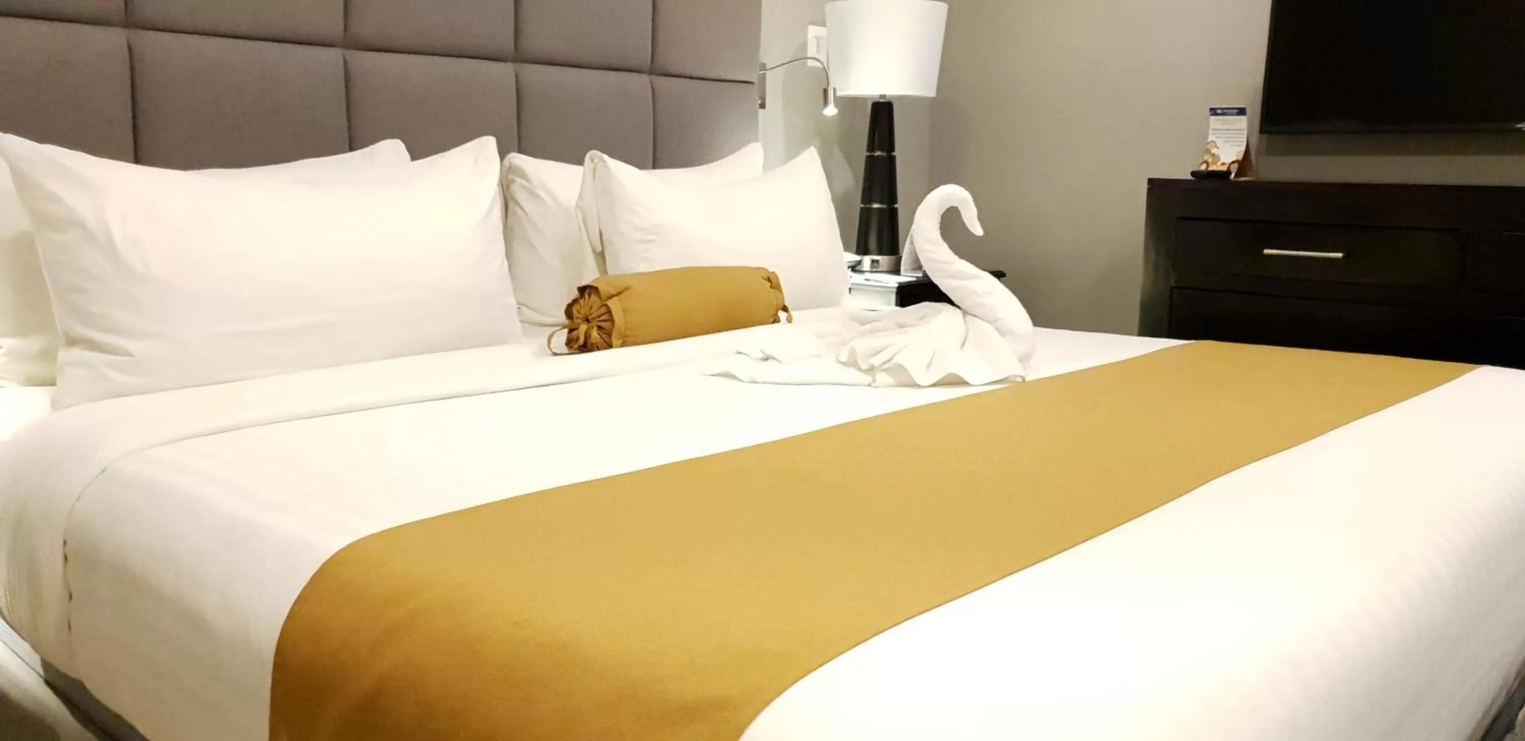 Bed in Best Western Plus Belize Biltmore Plaza