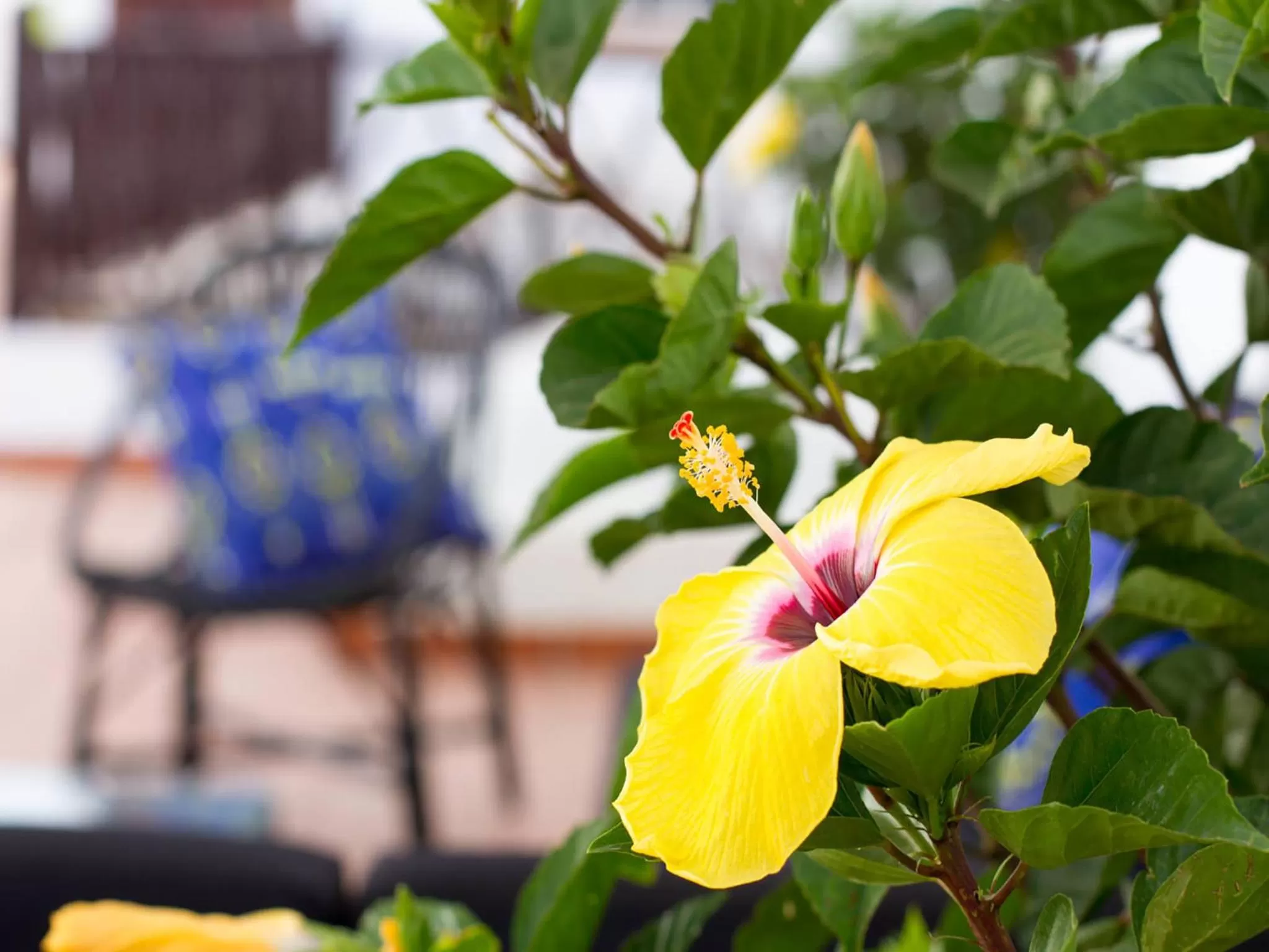 View (from property/room) in Aminta Home