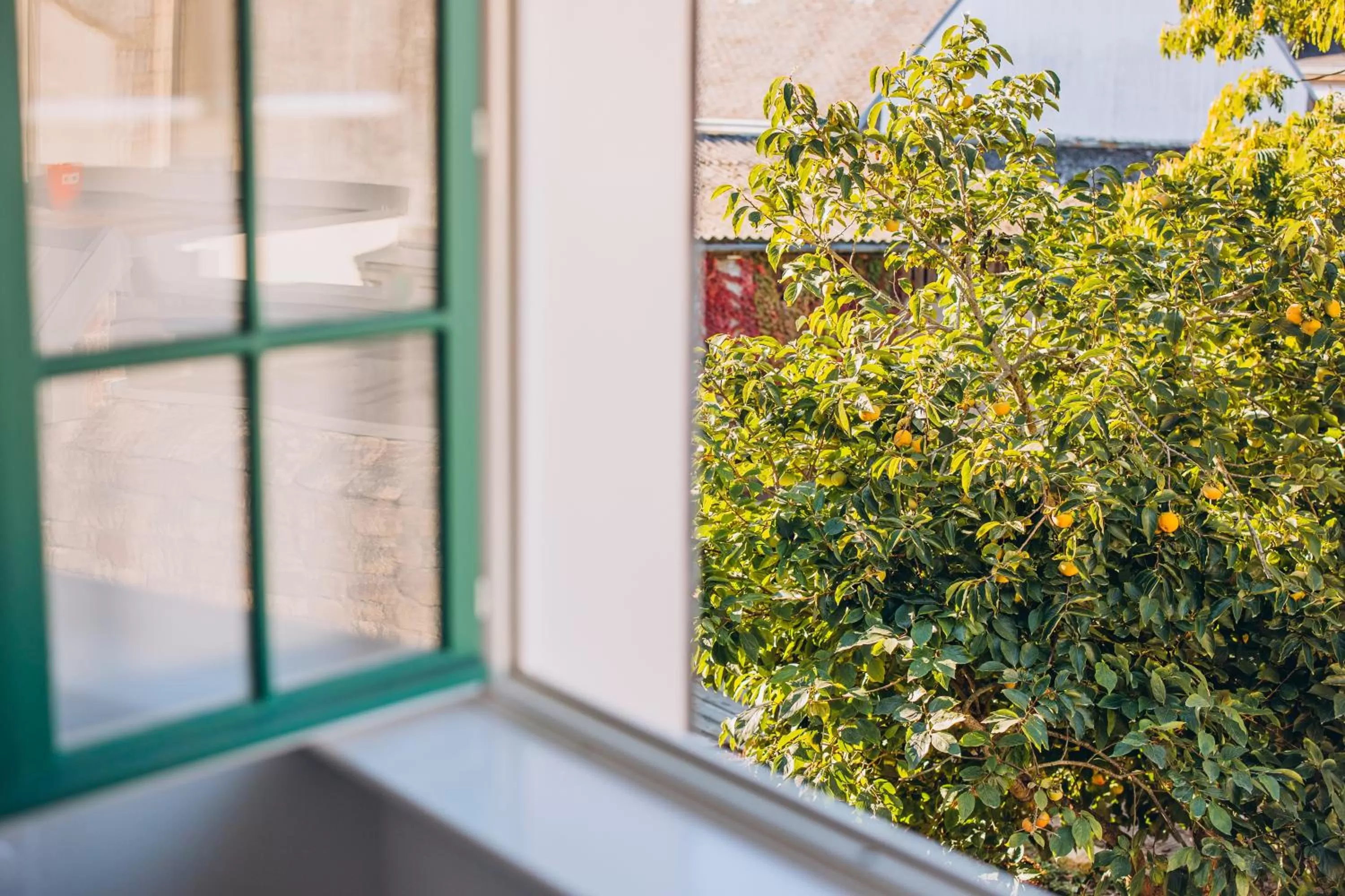 Garden in Bigouden Makers