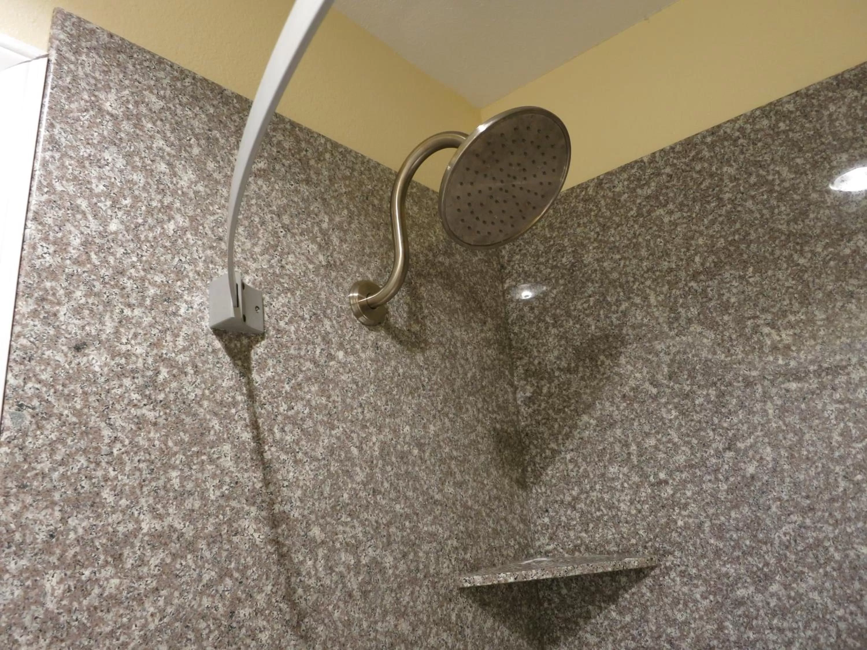 Shower in The inn at Mexia