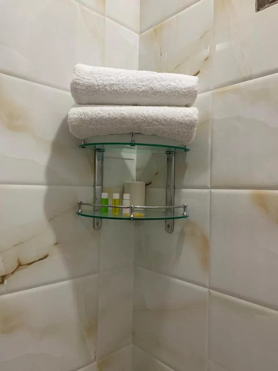 Bathroom in Peepal Tree Residency