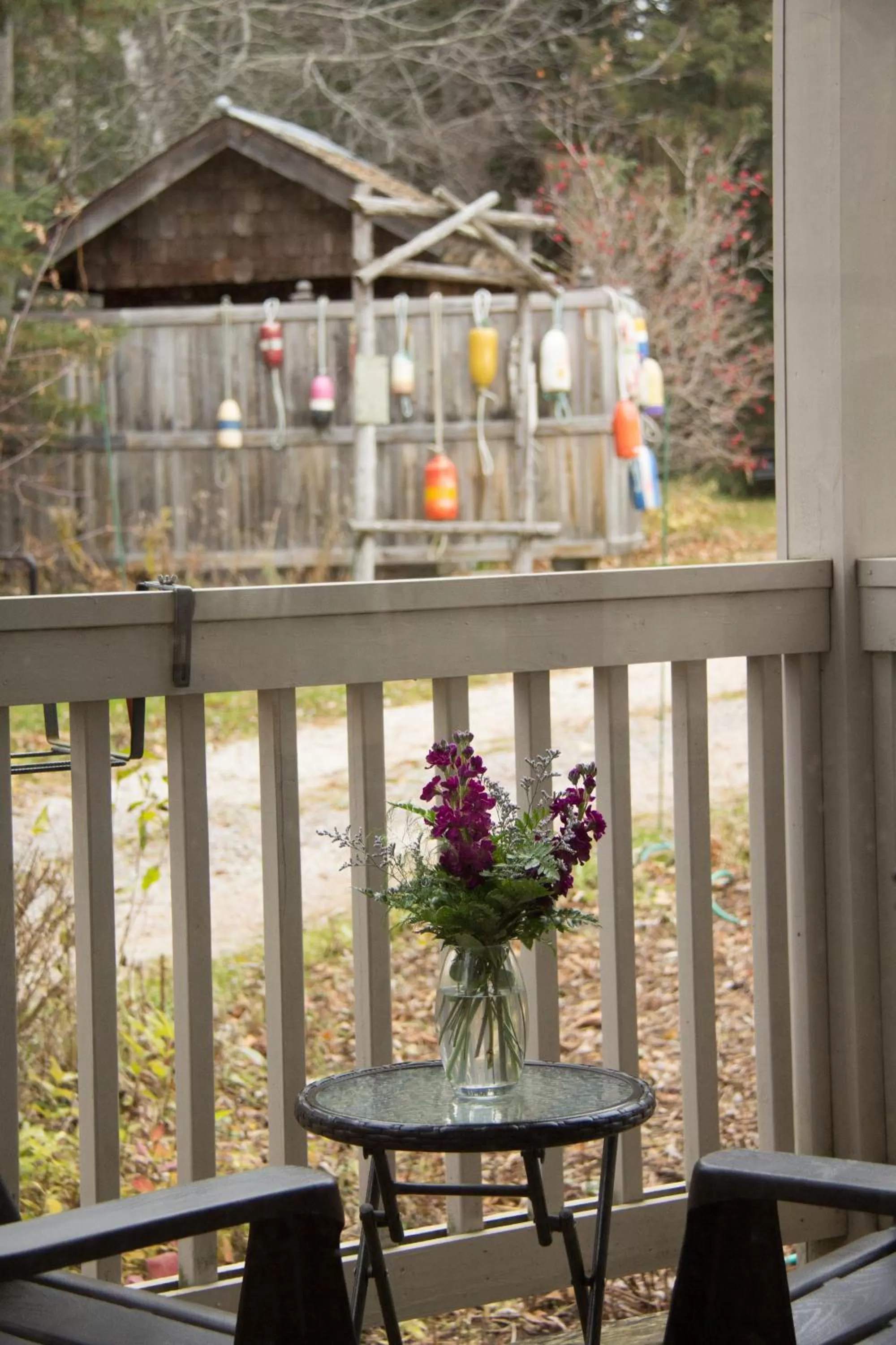 View (from property/room) in Pinehurst Inn Bed & Breakfast