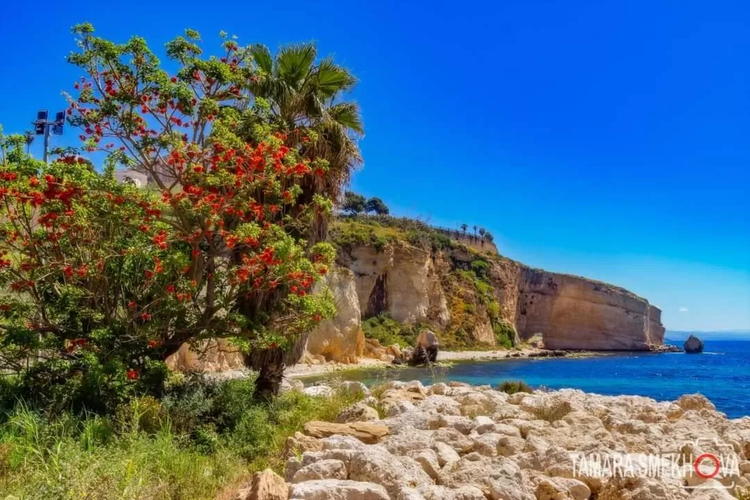 NottInCentro -Guest House-