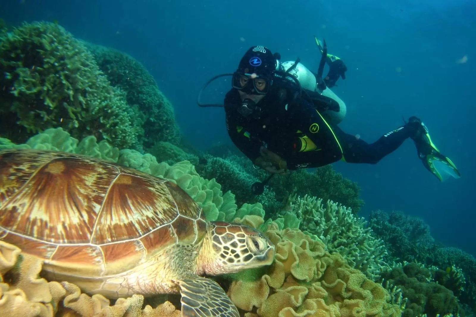 Snorkeling in AivyMaes Divers Resort