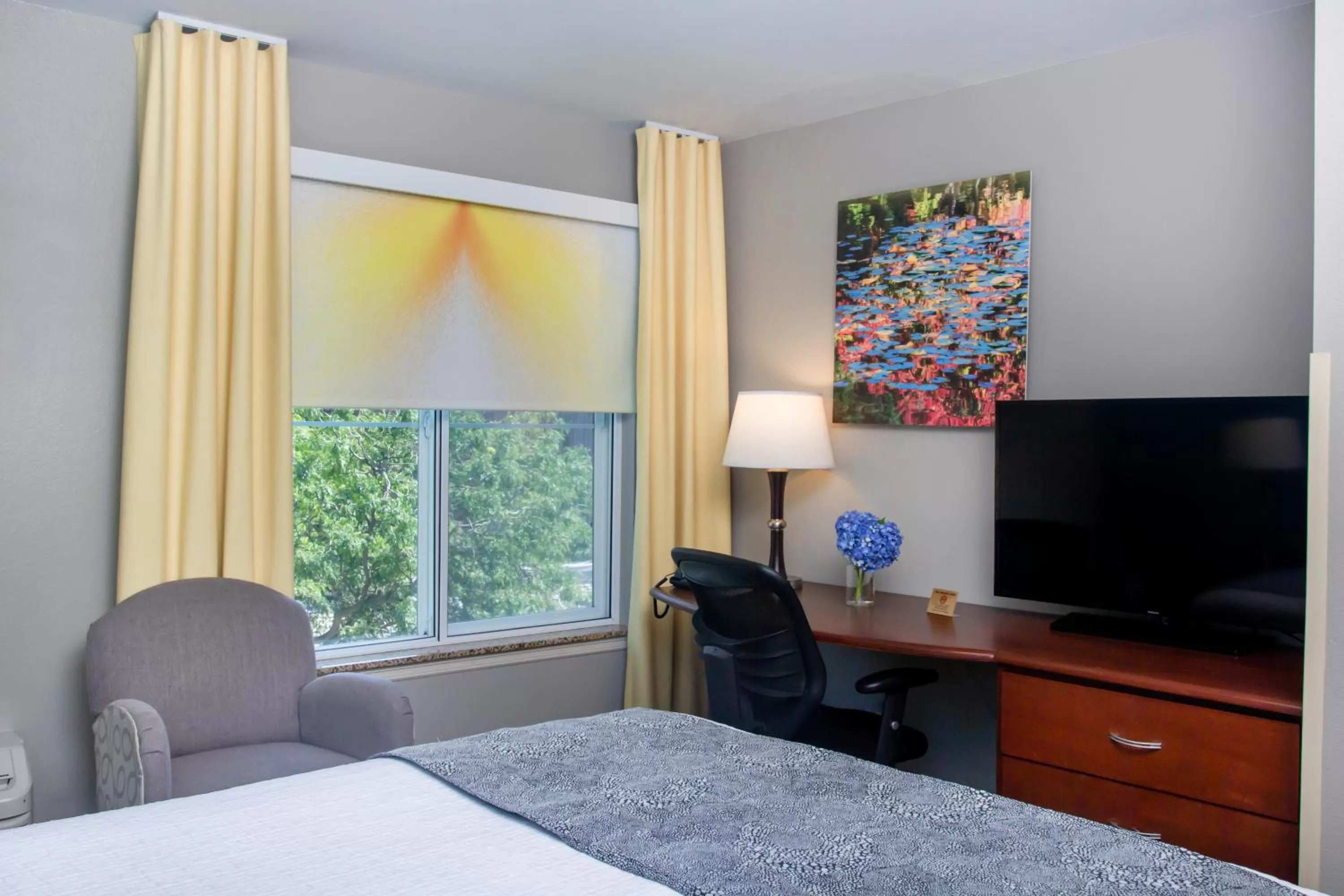 TV and multimedia, Bed in Belltown Inn