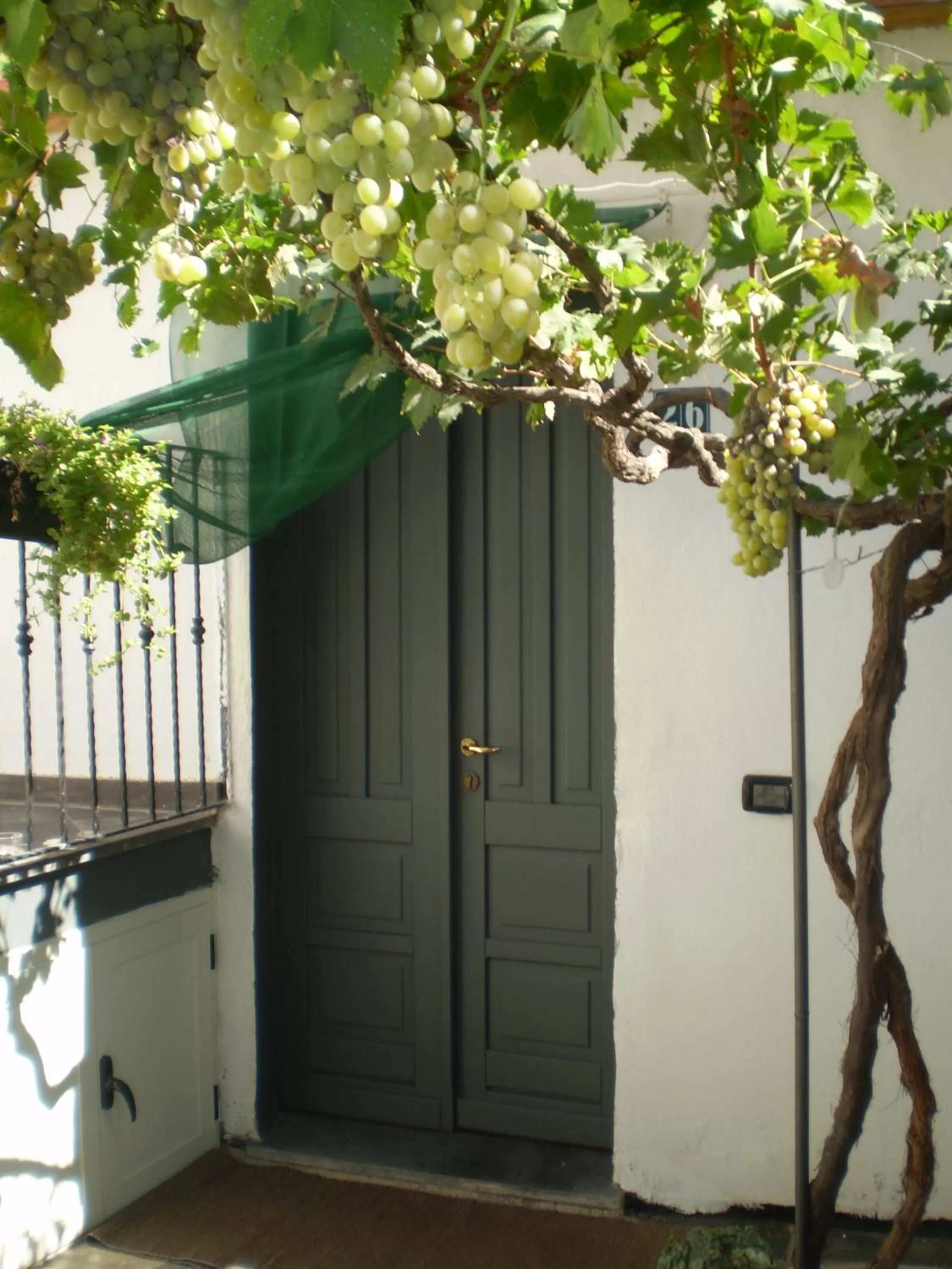 On site in Il Giardino Di Emilio