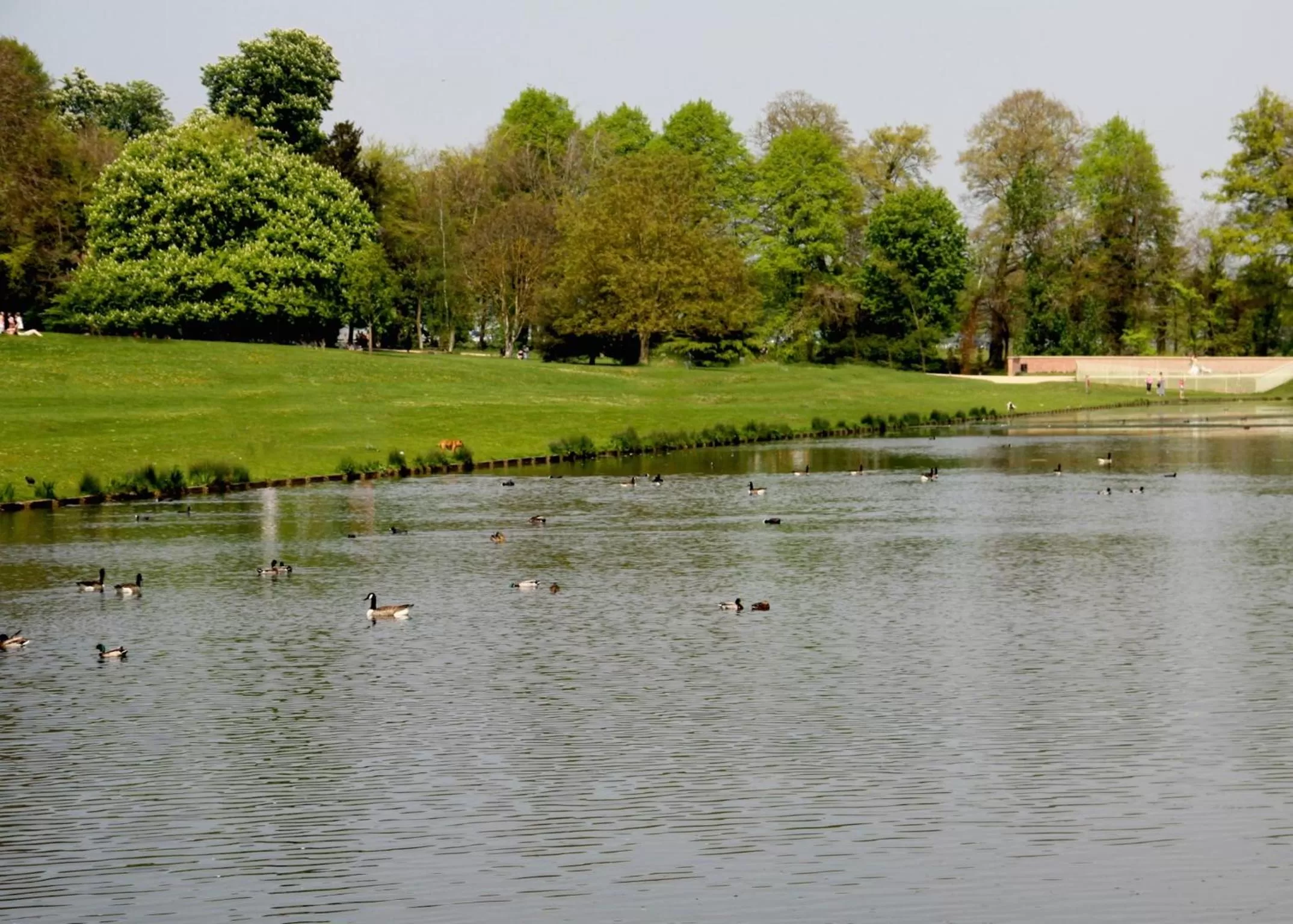 Area and facilities in Lydiard House Hotel & Conference Centre