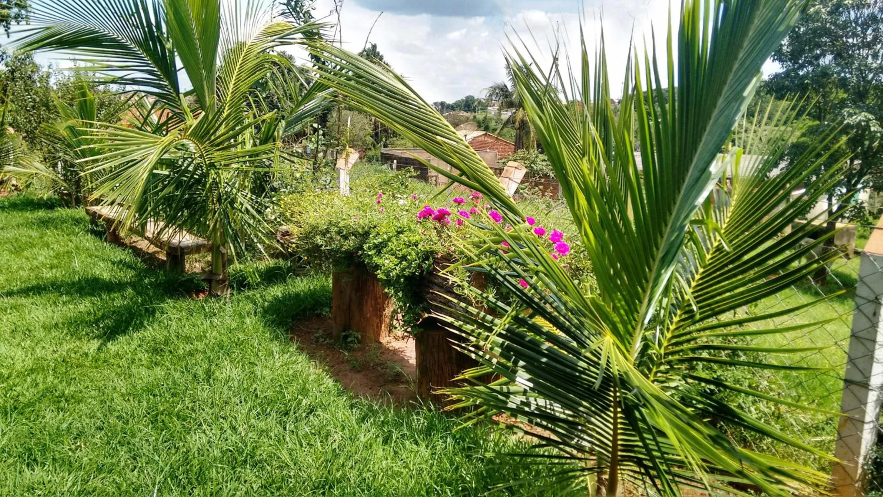 Area and facilities in Pousada Sorocabana