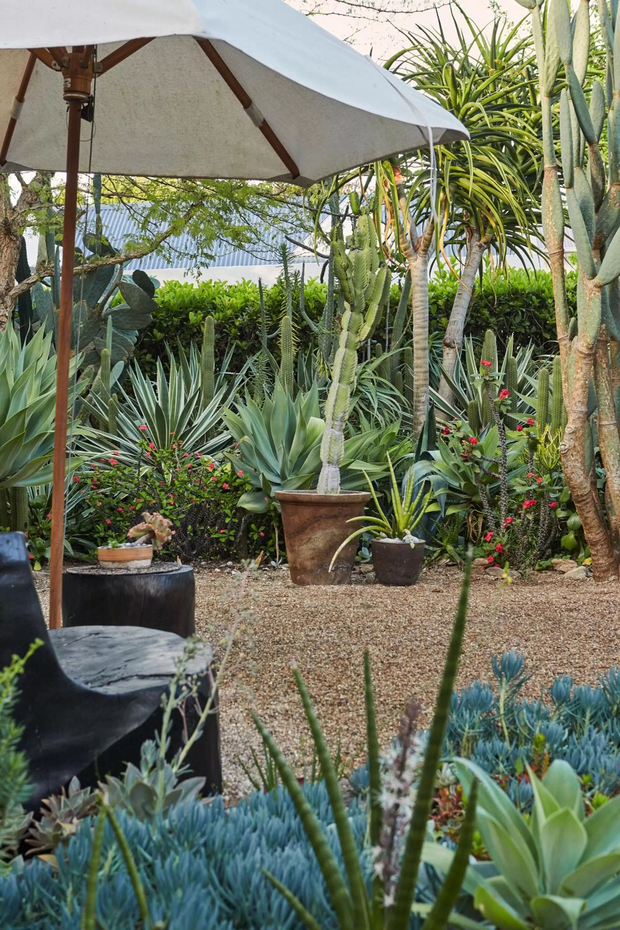 Garden in The Robertson Small Hotel and Spa by The Living Journey Collection