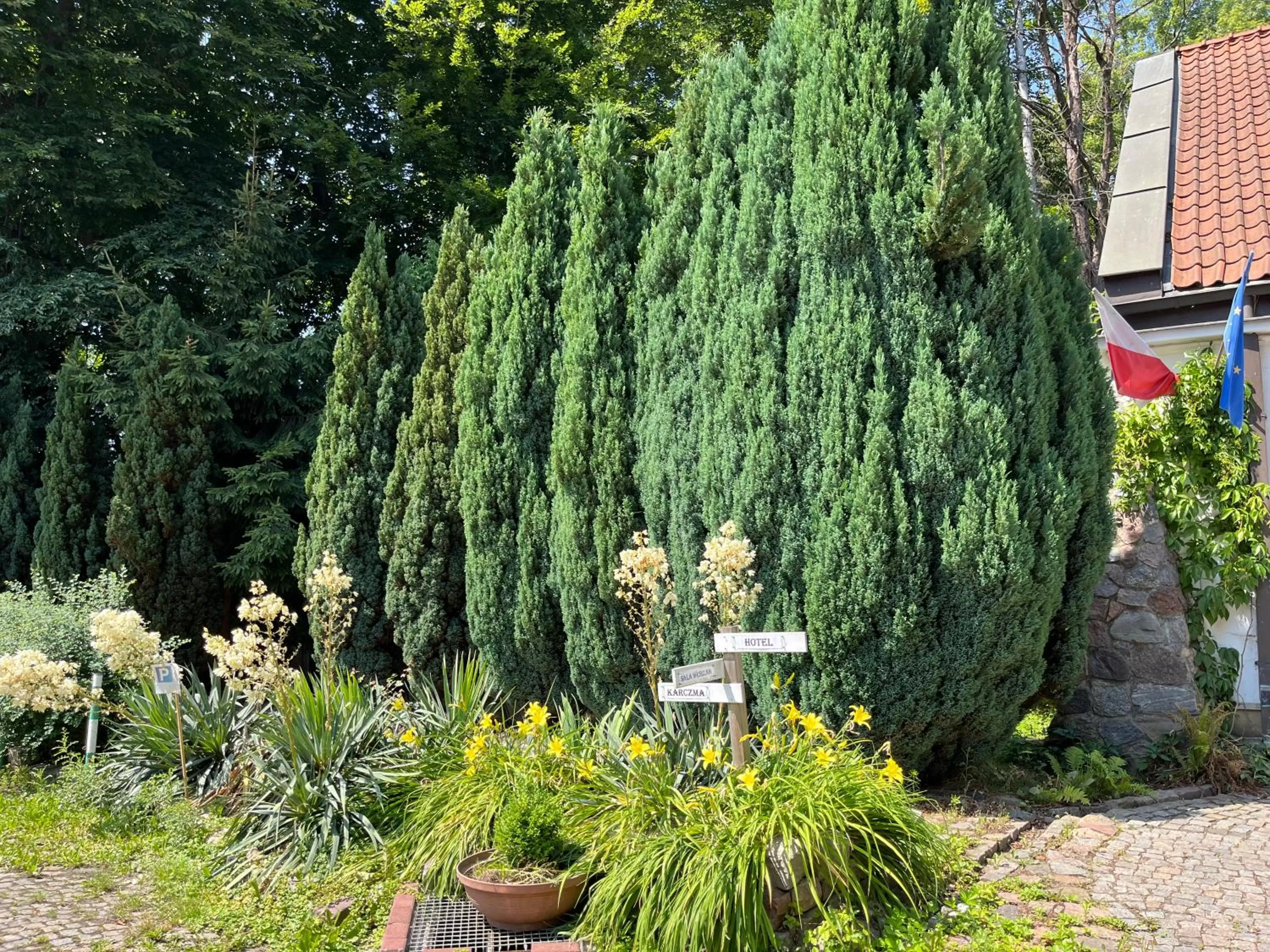 Day in Dedek Park - historyczny dworek w pięknym Parku Skaryszewskim obok Stadionu Narodowego