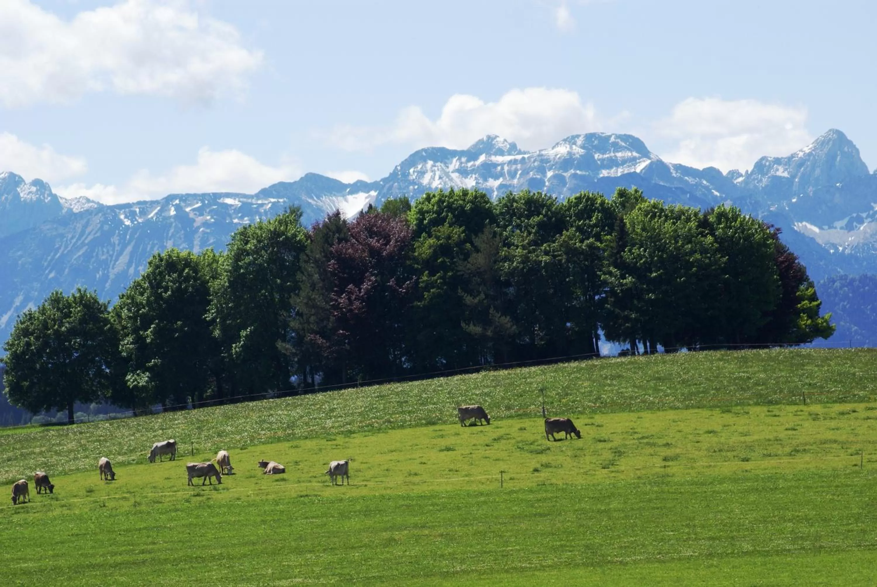 Spring in Landhaus Grobert