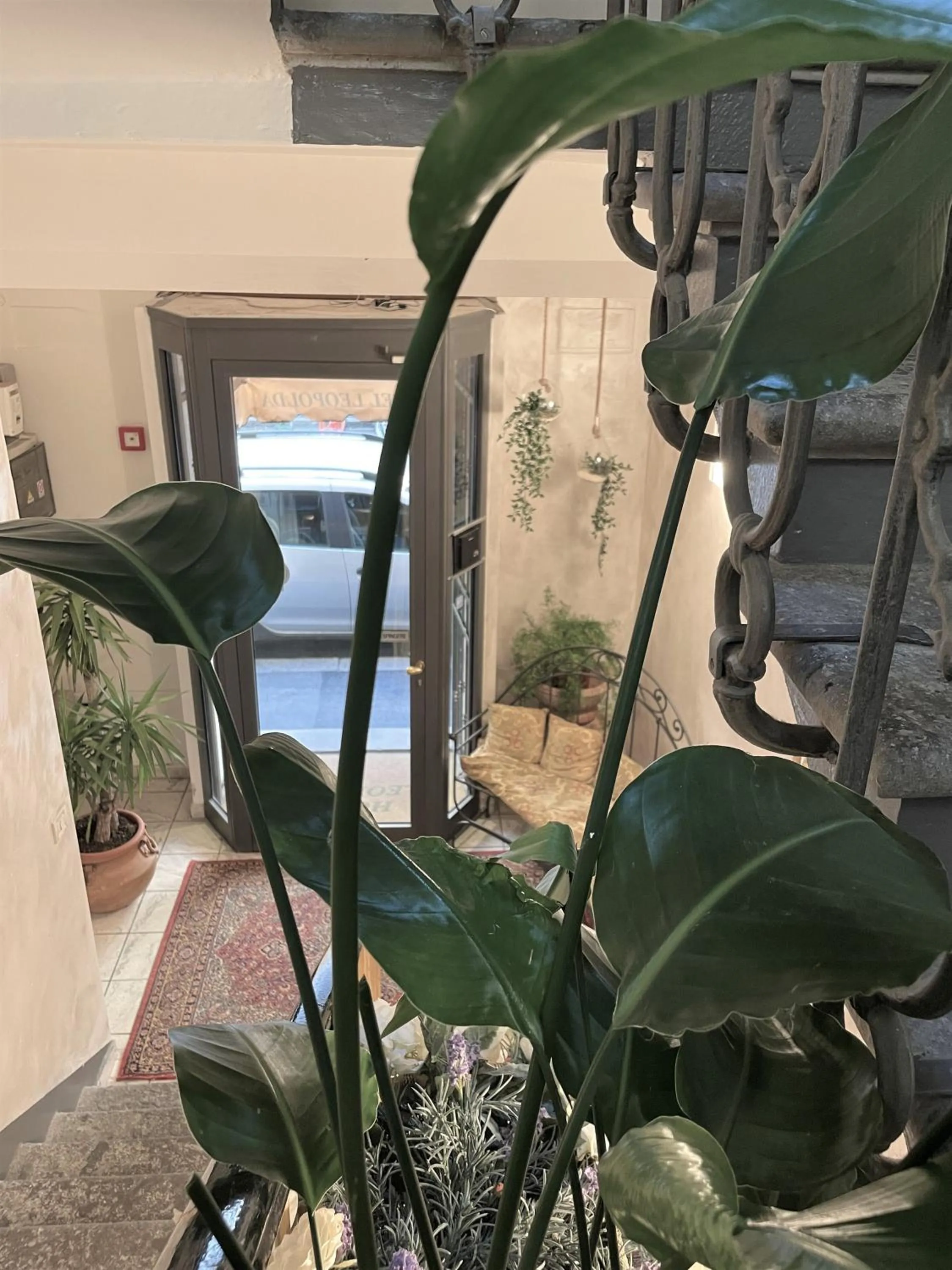 Garden in Hotel Leopolda