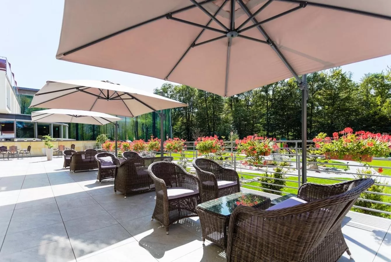 Garden in Hotel Olympic Spa & Wellness
