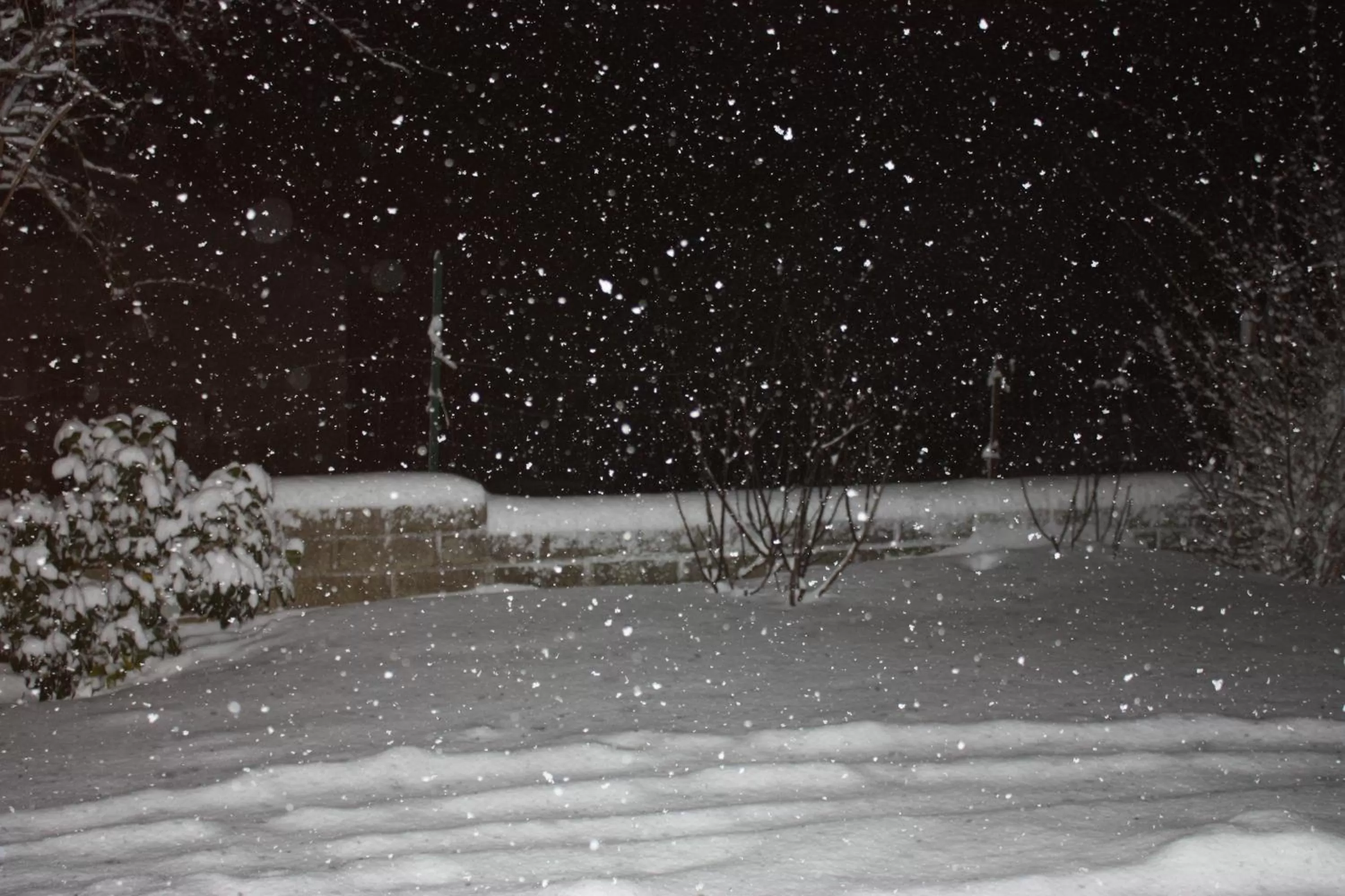 Winter in Il Frutteto